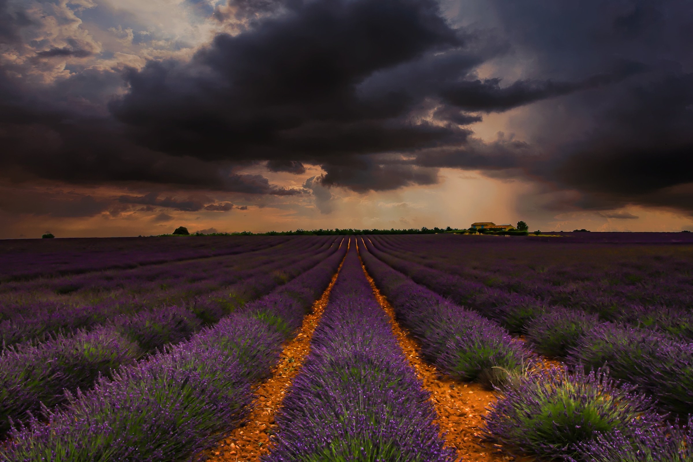 Provence