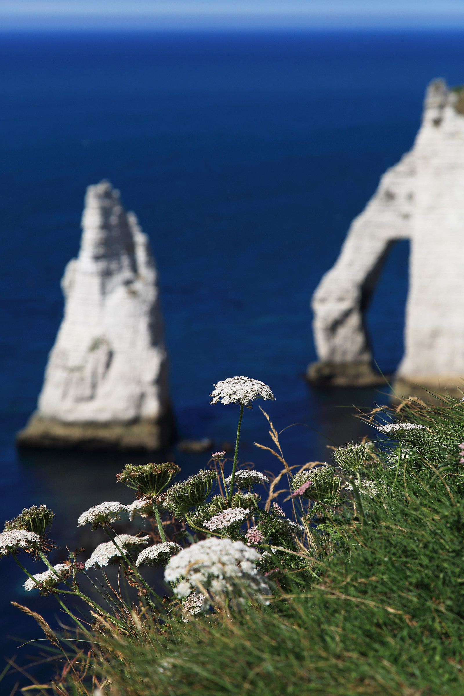 Normandy-Brittany-08