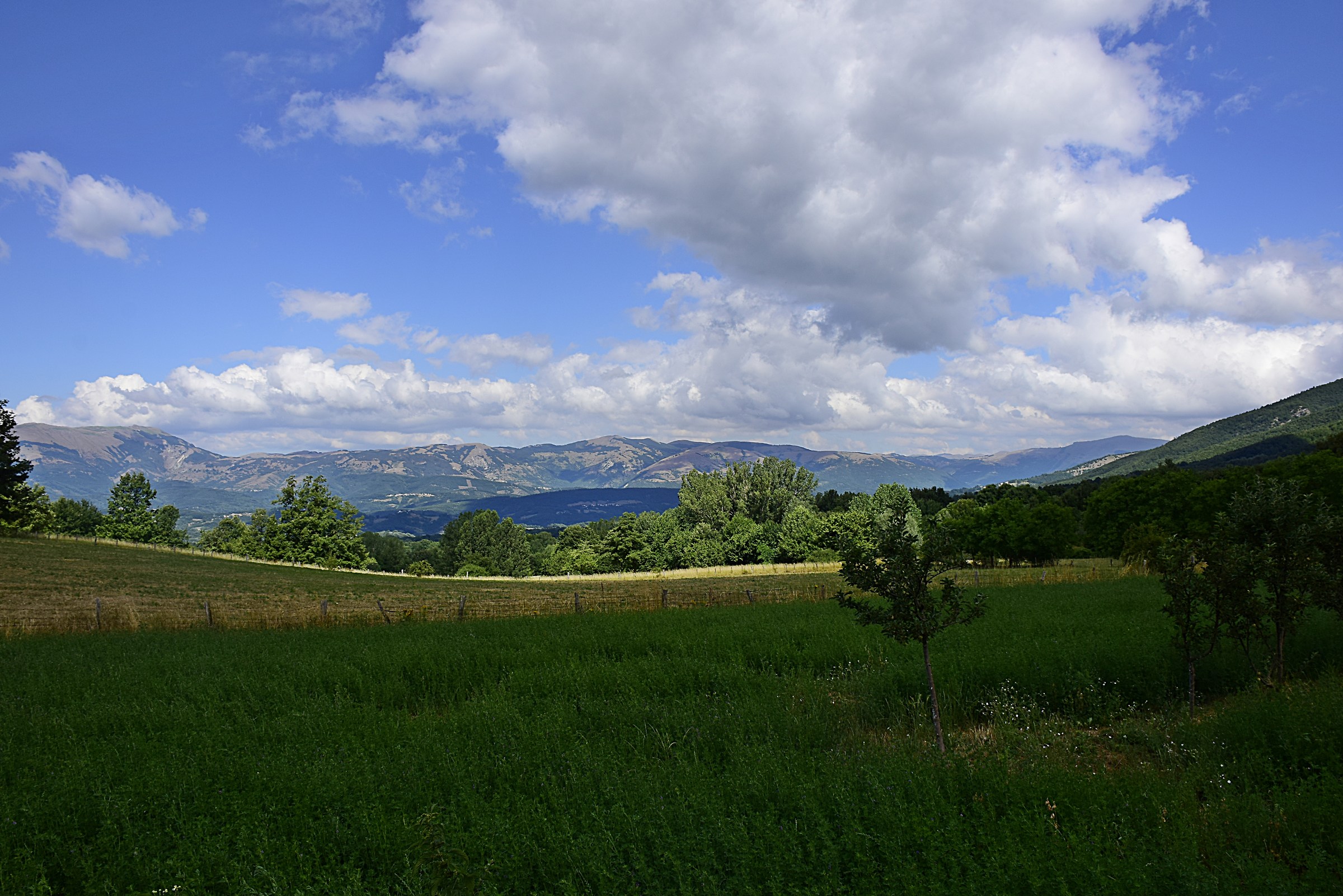 Return to the Laga Mountains