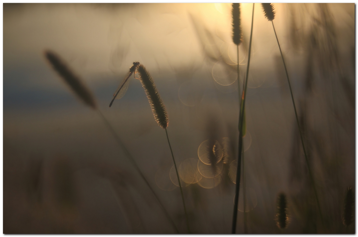 Sunset on the river.