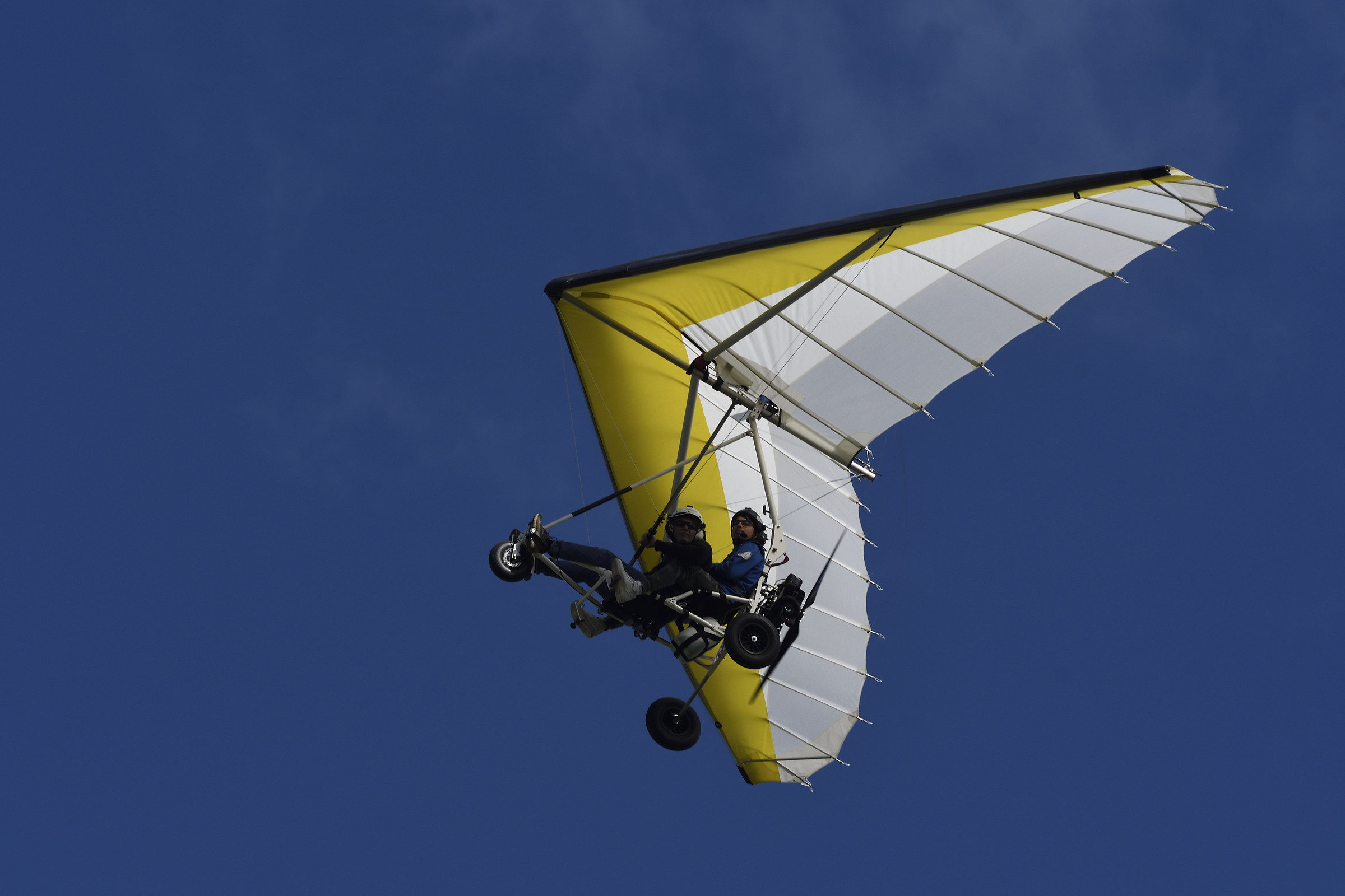 In blue painted blue ..