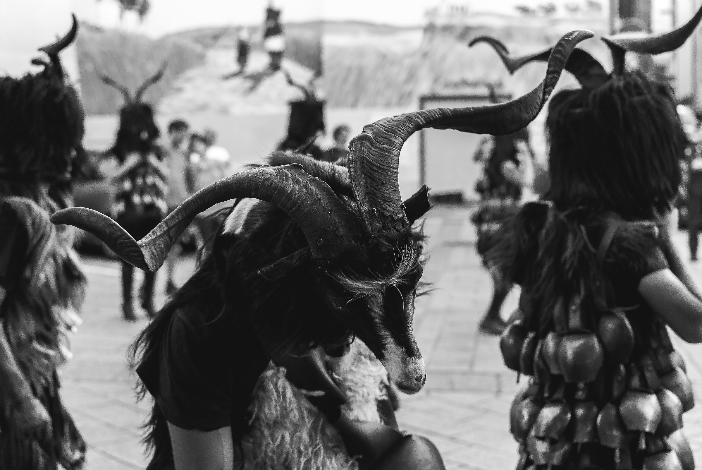 Mammutzones of Samugheo, Sardinia