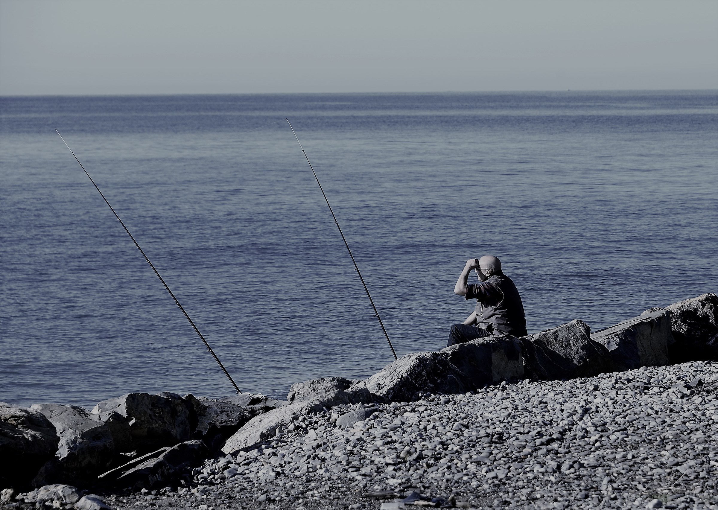 You do not see a fish