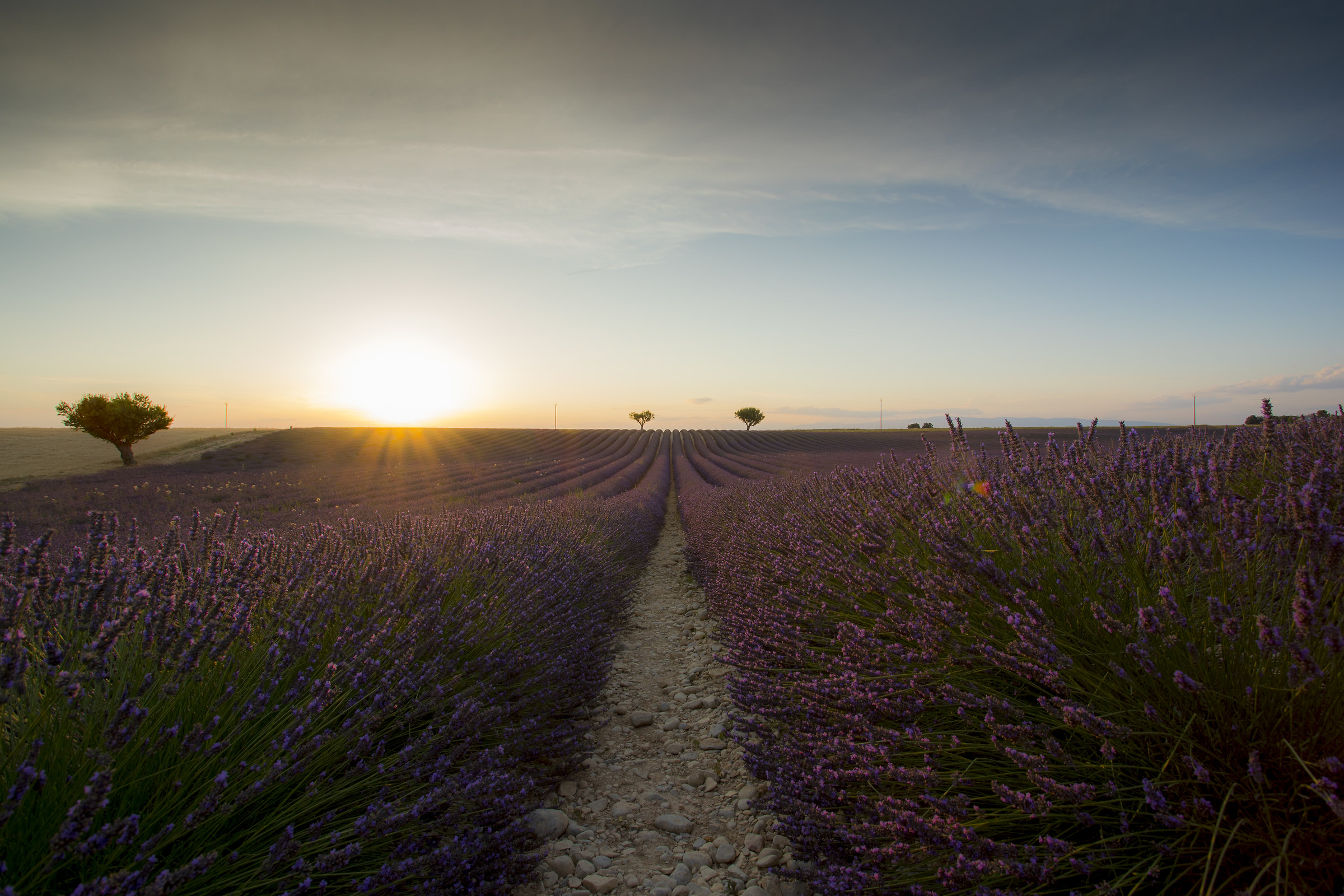 Tramonto a Valensole
