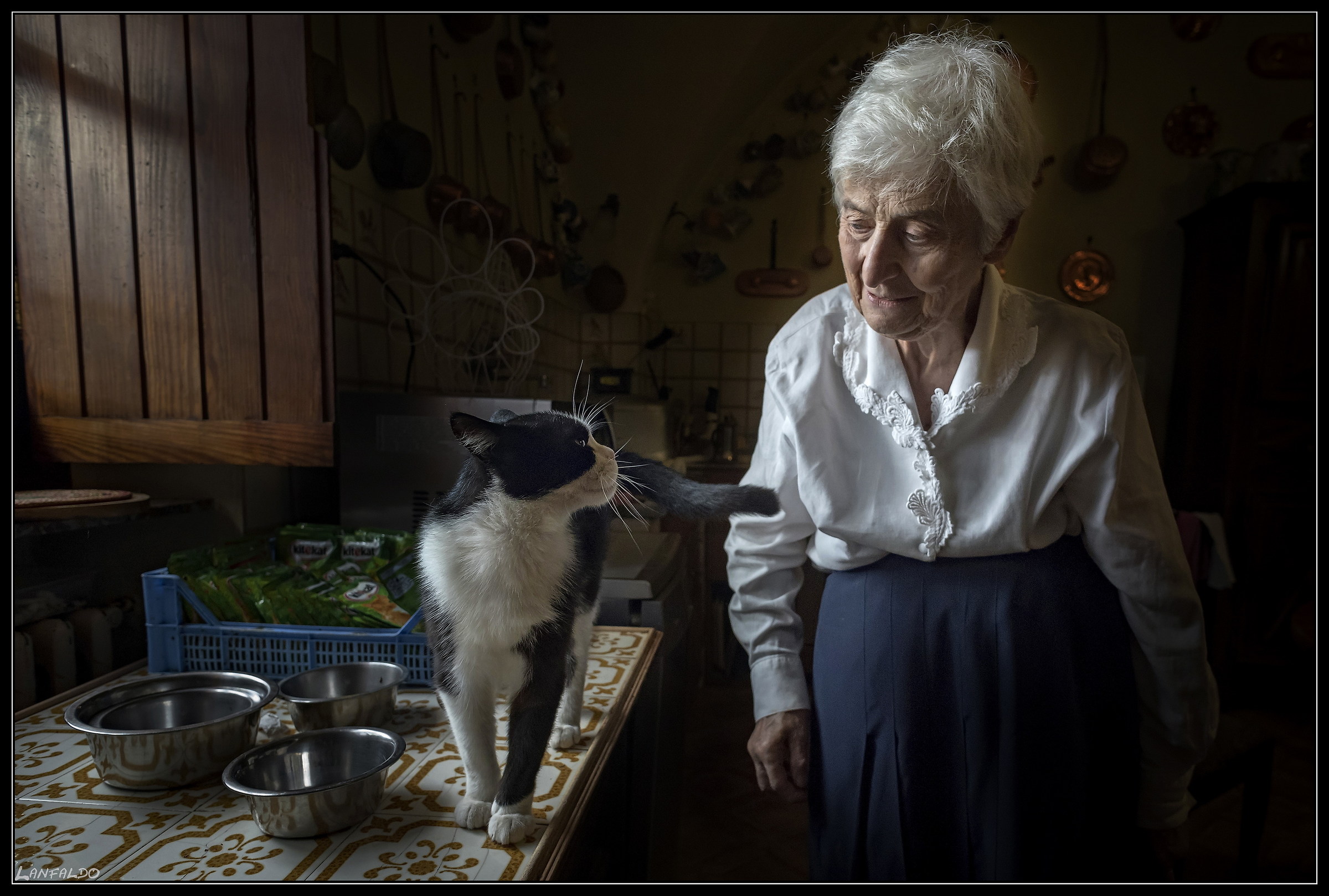 Signora con gatto.