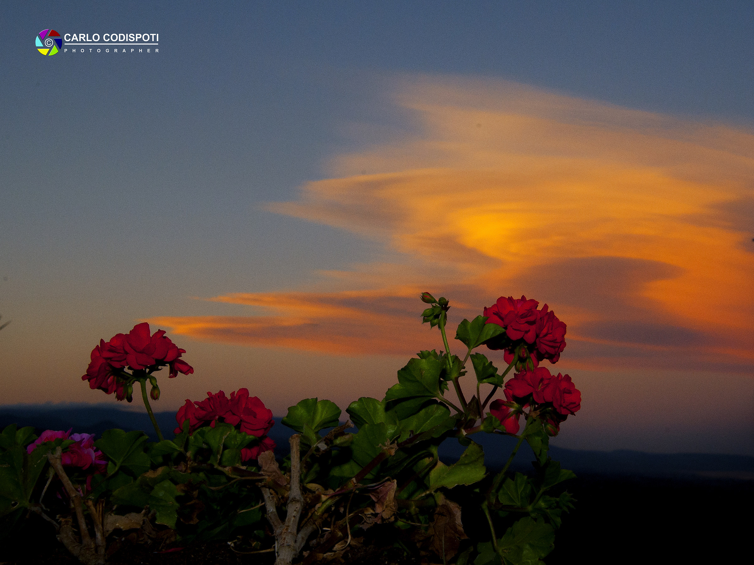 The colors of nature at sunset