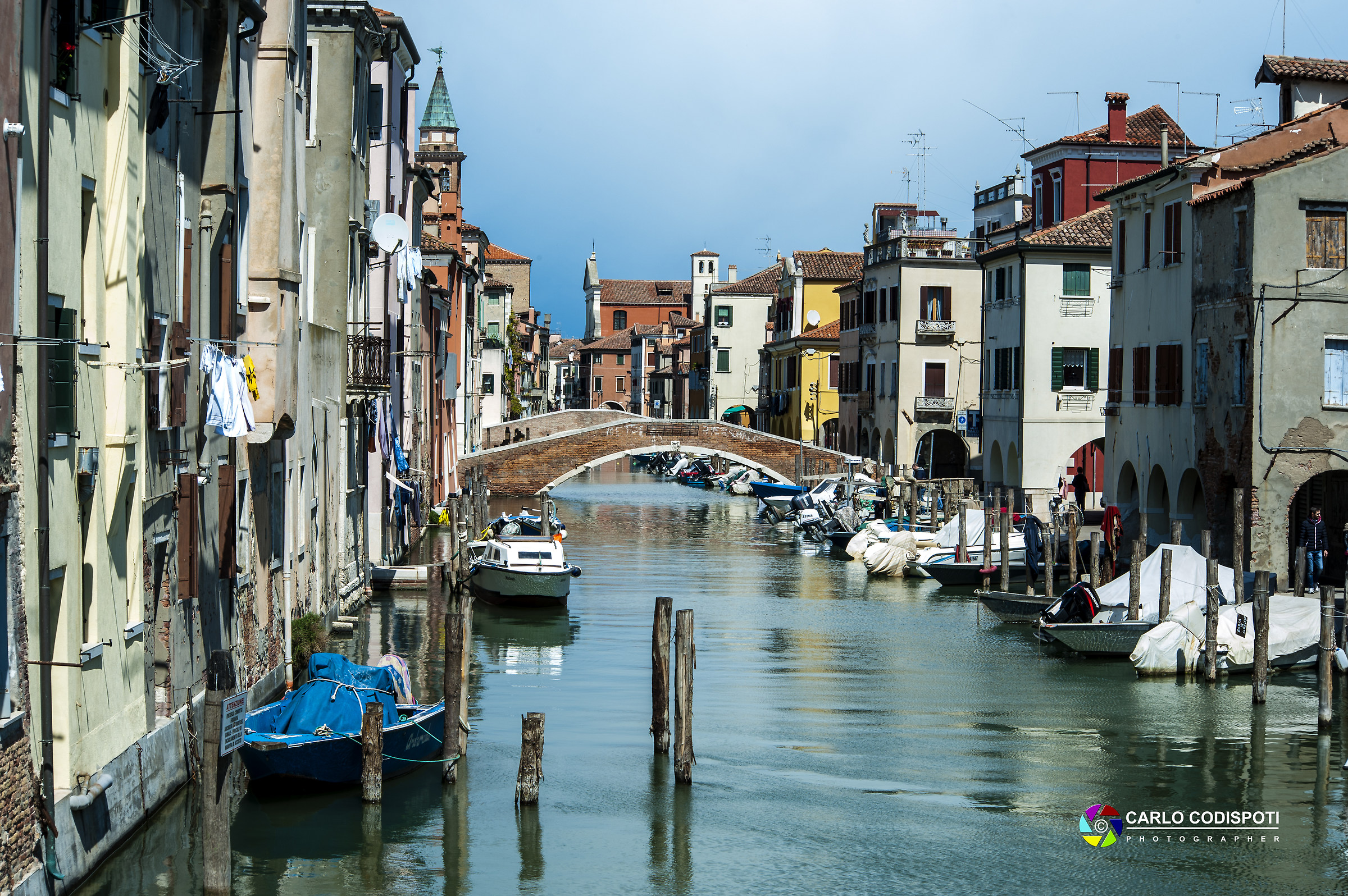chioggia