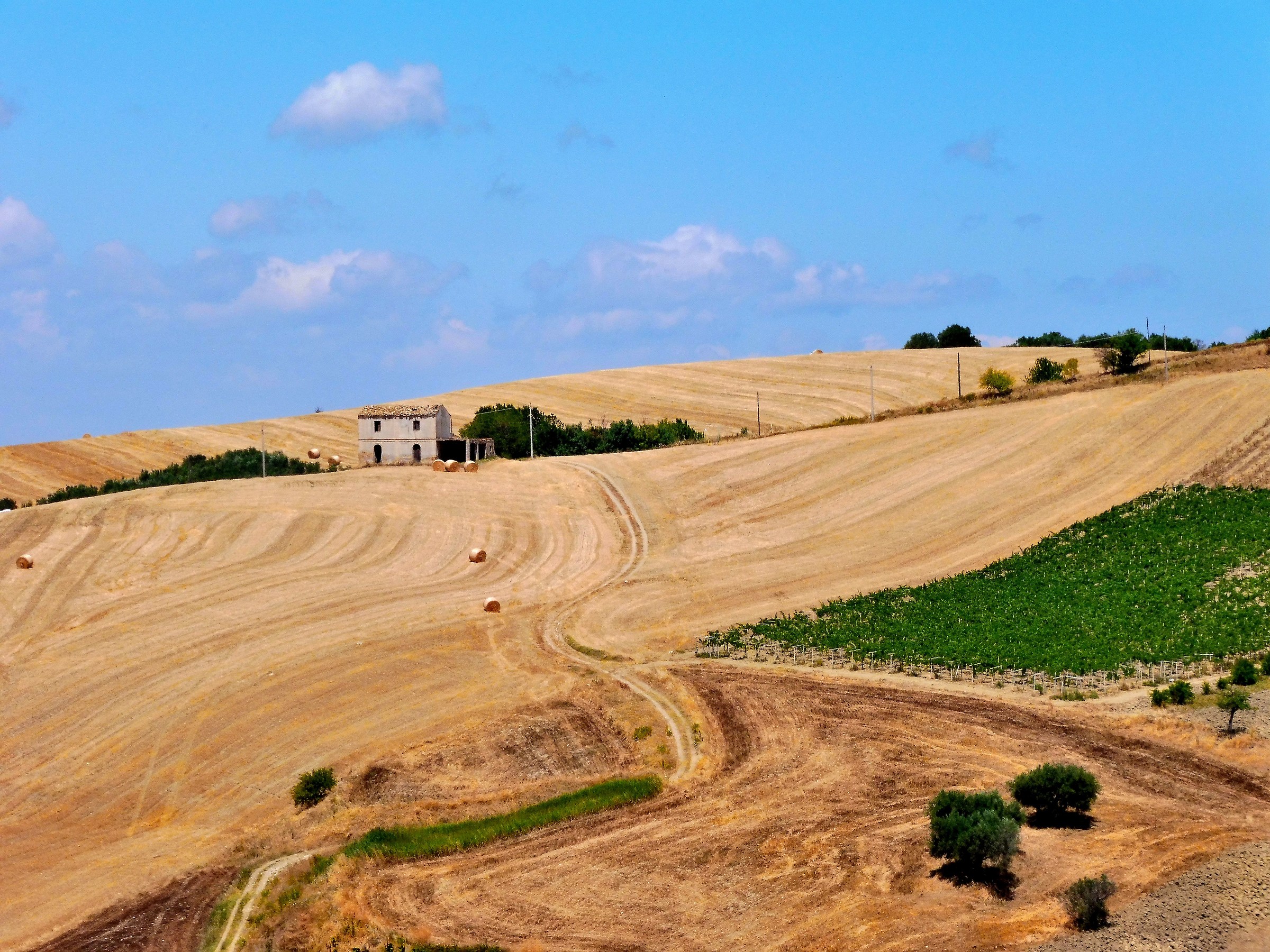 La Casa sulla Collina