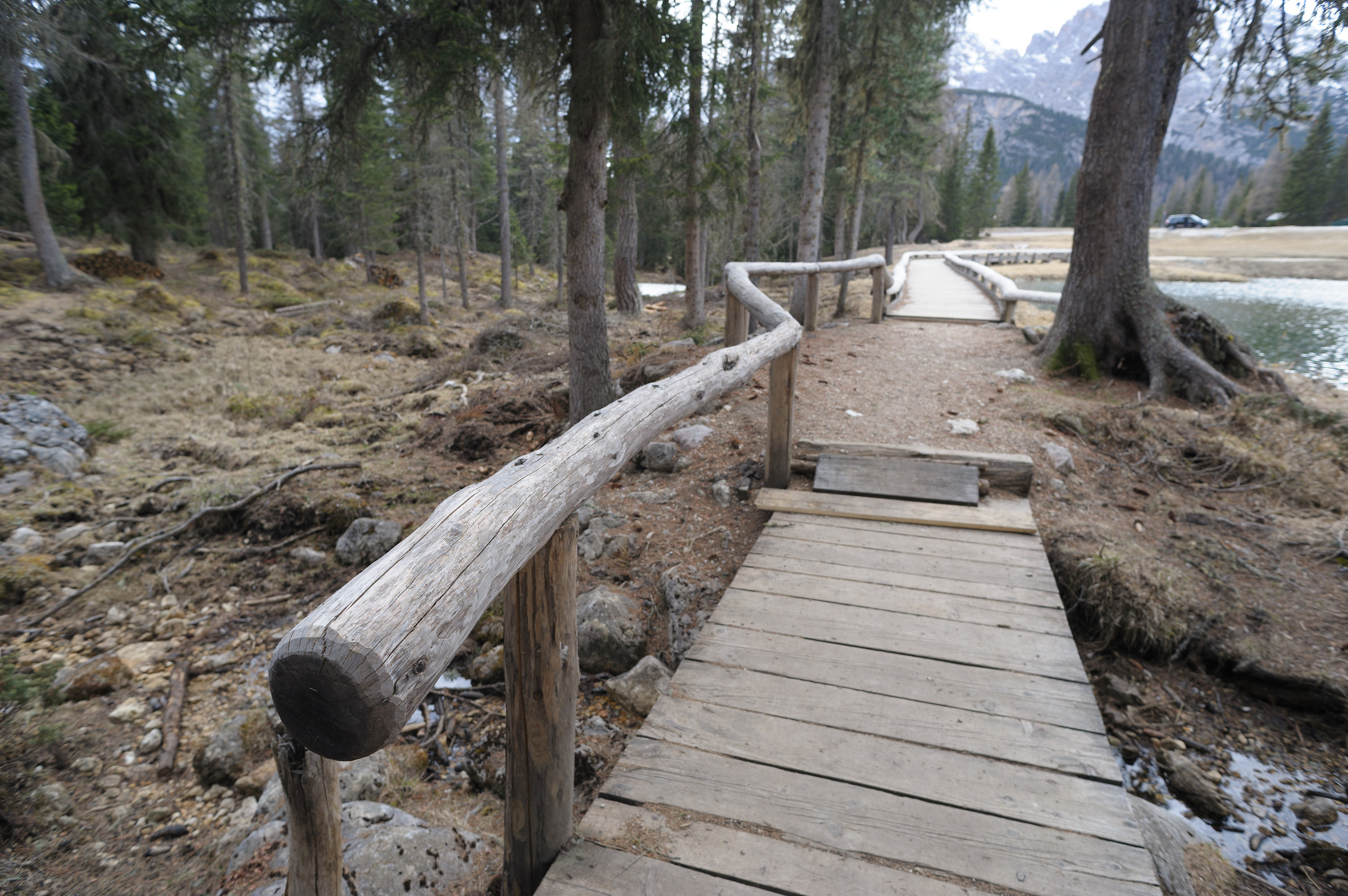 Nikon 20mm f2.8AF-D scampanellio