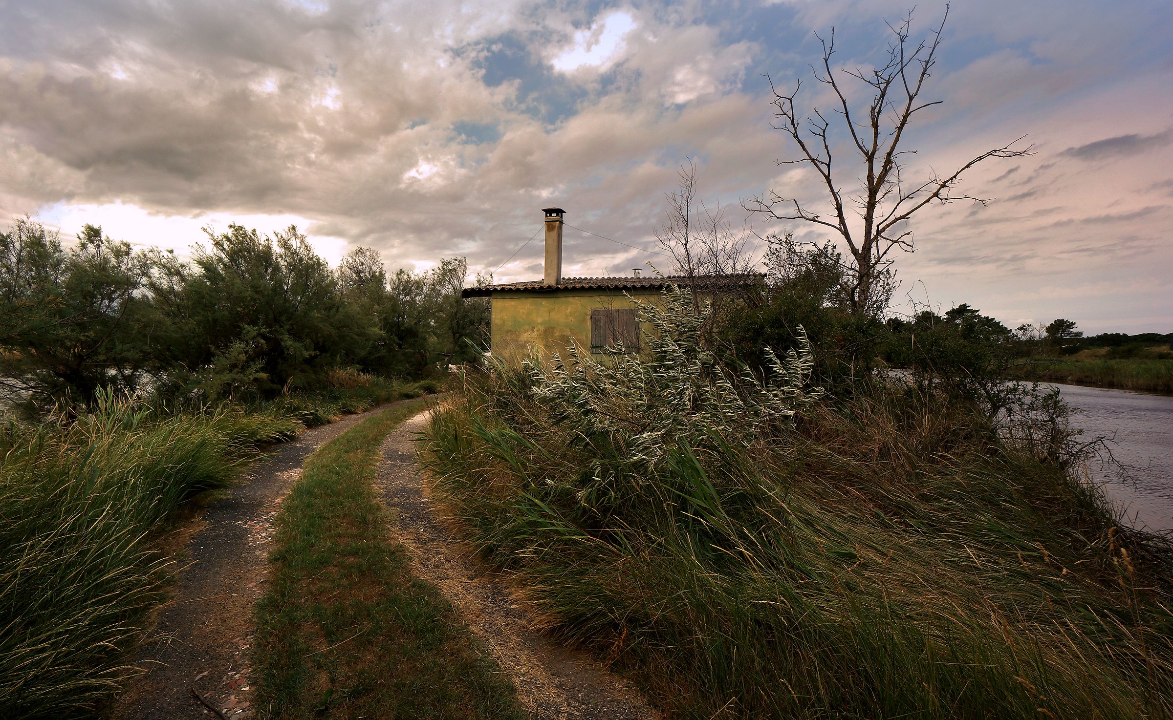 E il vento piegò l'erba alta.