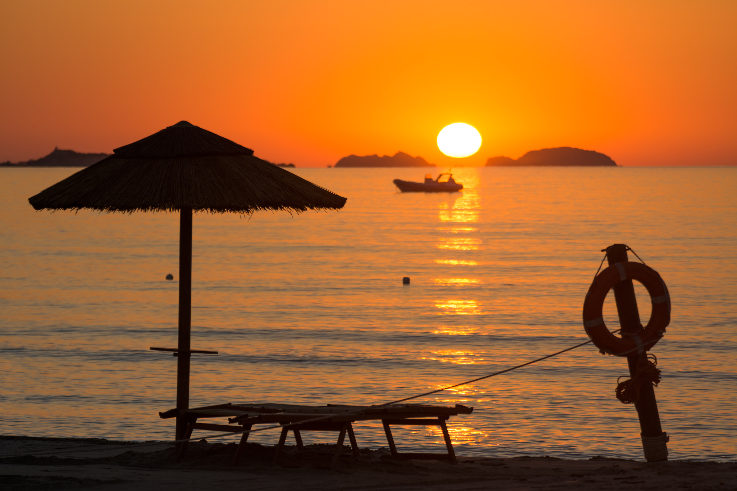 The show of the day that is born