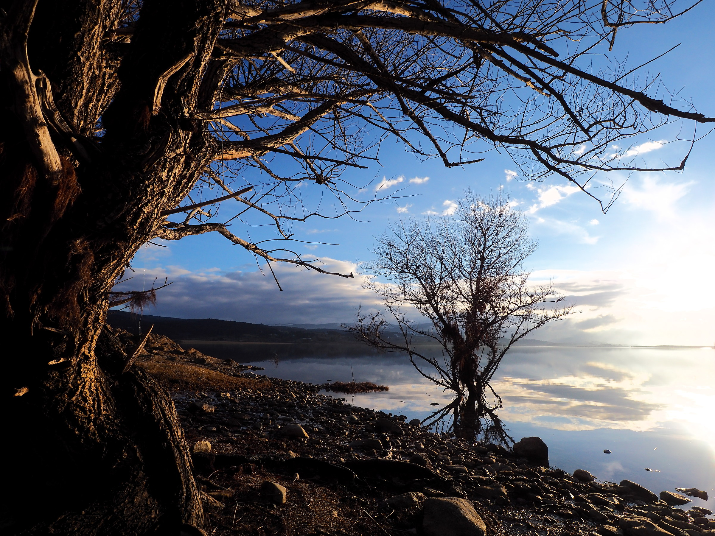 The quiet of the lake
