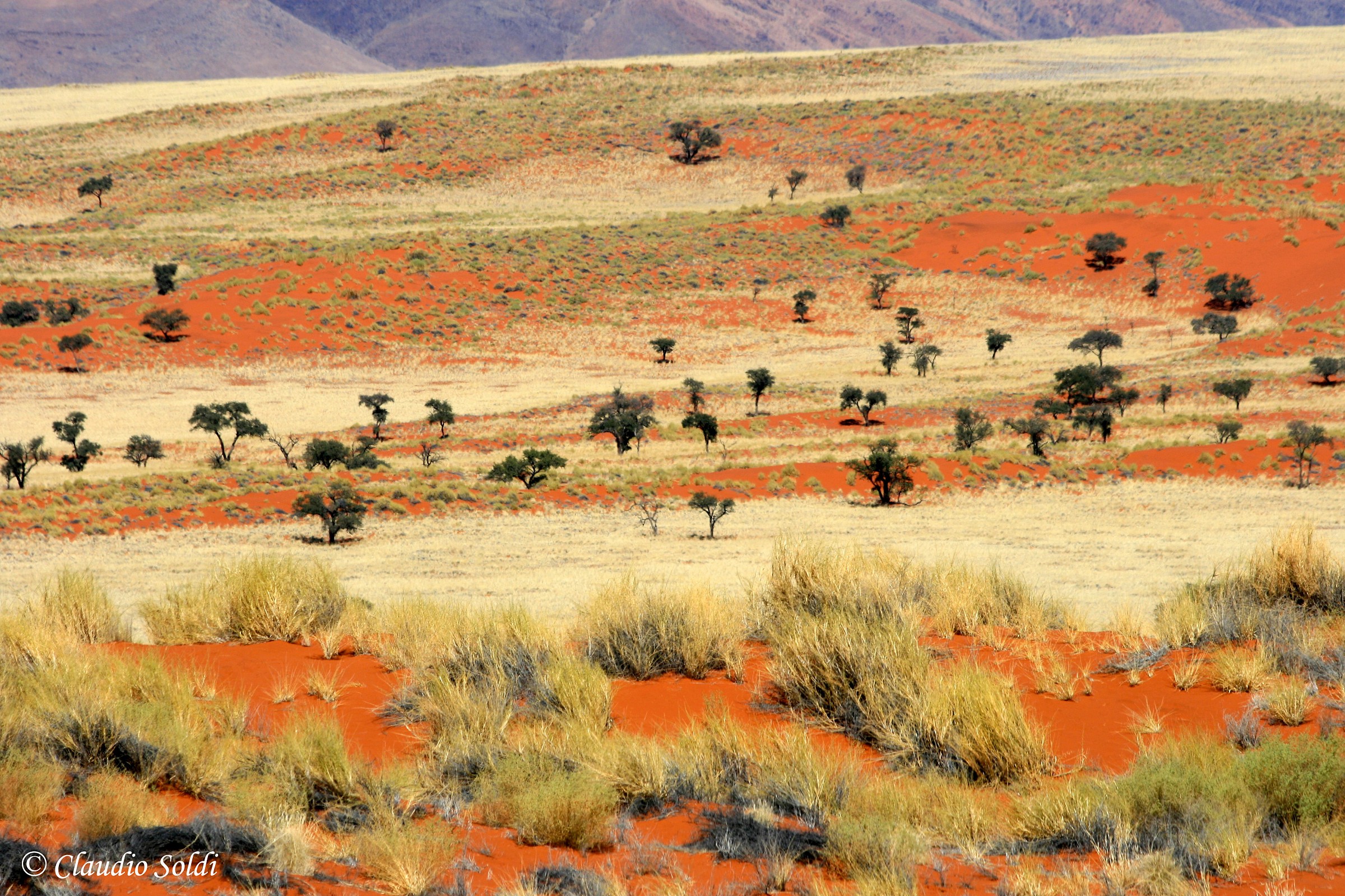 Namib Rand nature Reserve - Namibia