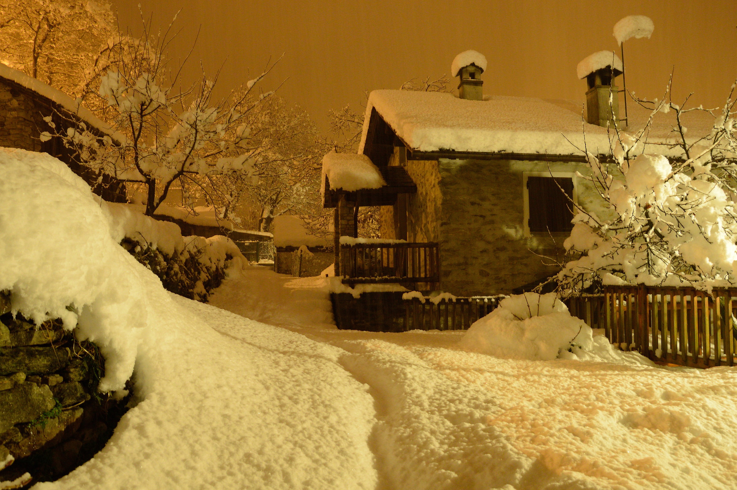 The silence of winter