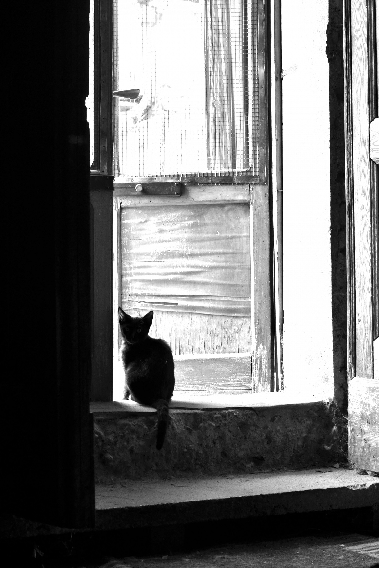 una faticaccia correrti dietro!!!