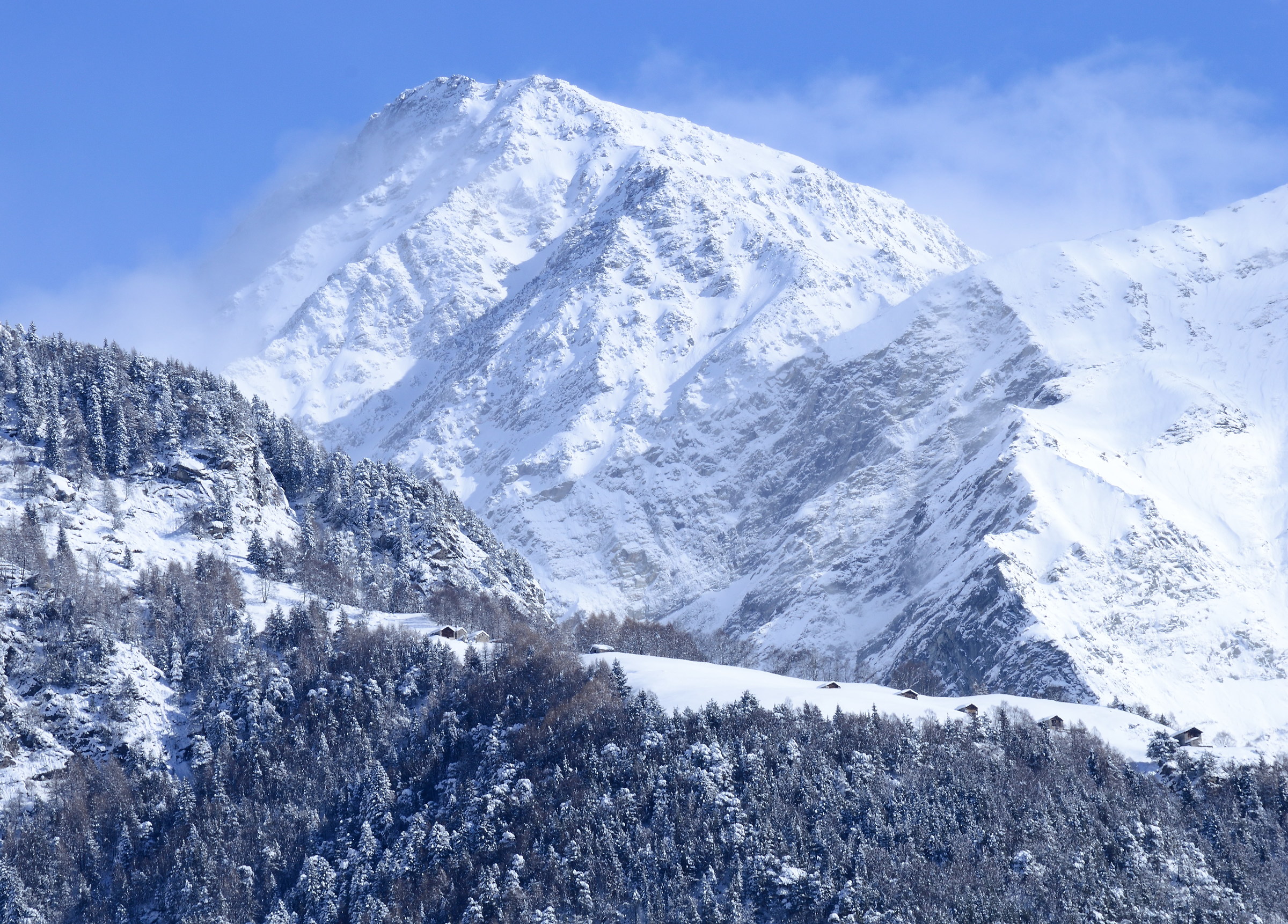 Lace Floating and alpine Corbia