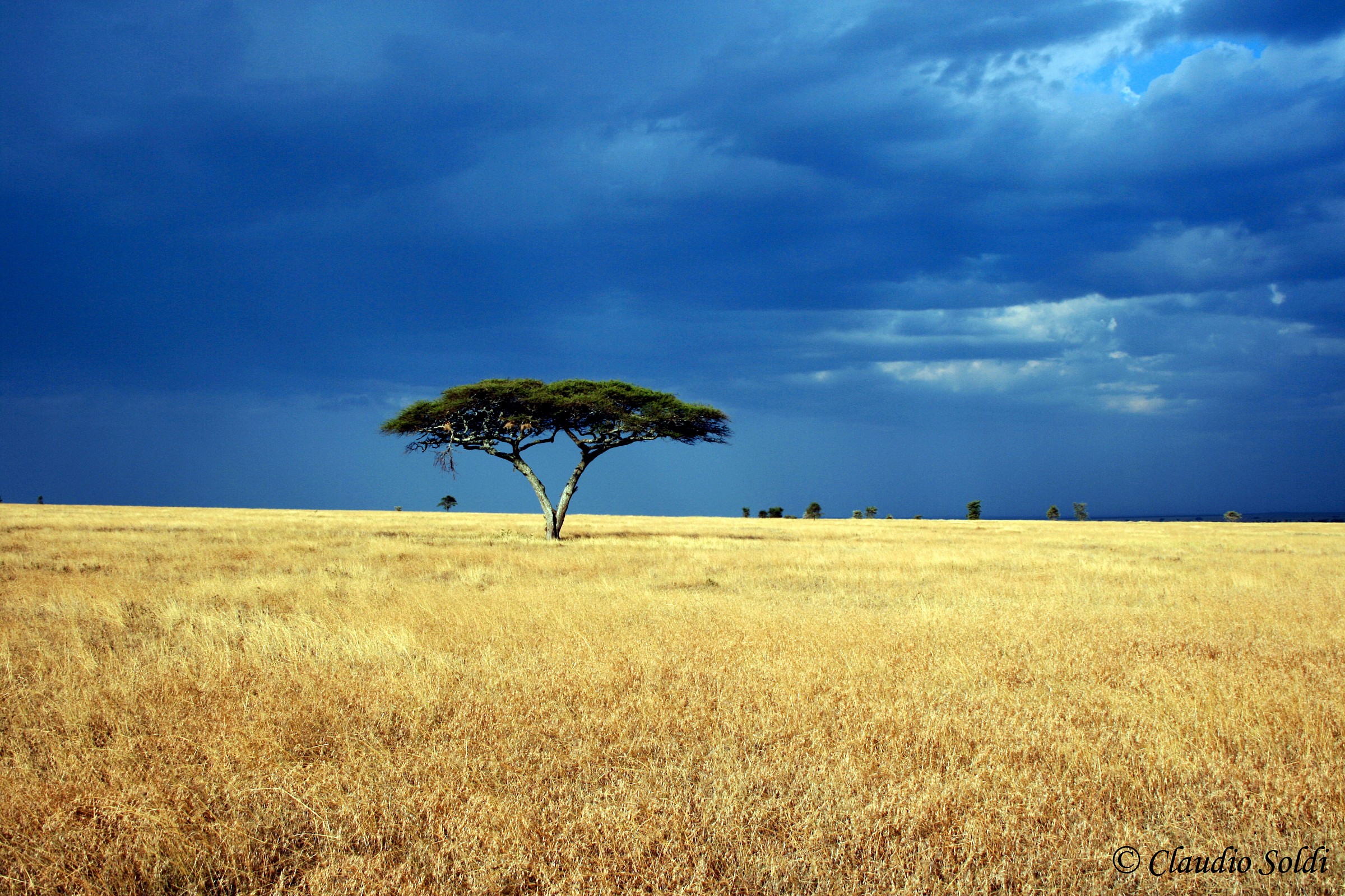 Tempesta in arrivo...