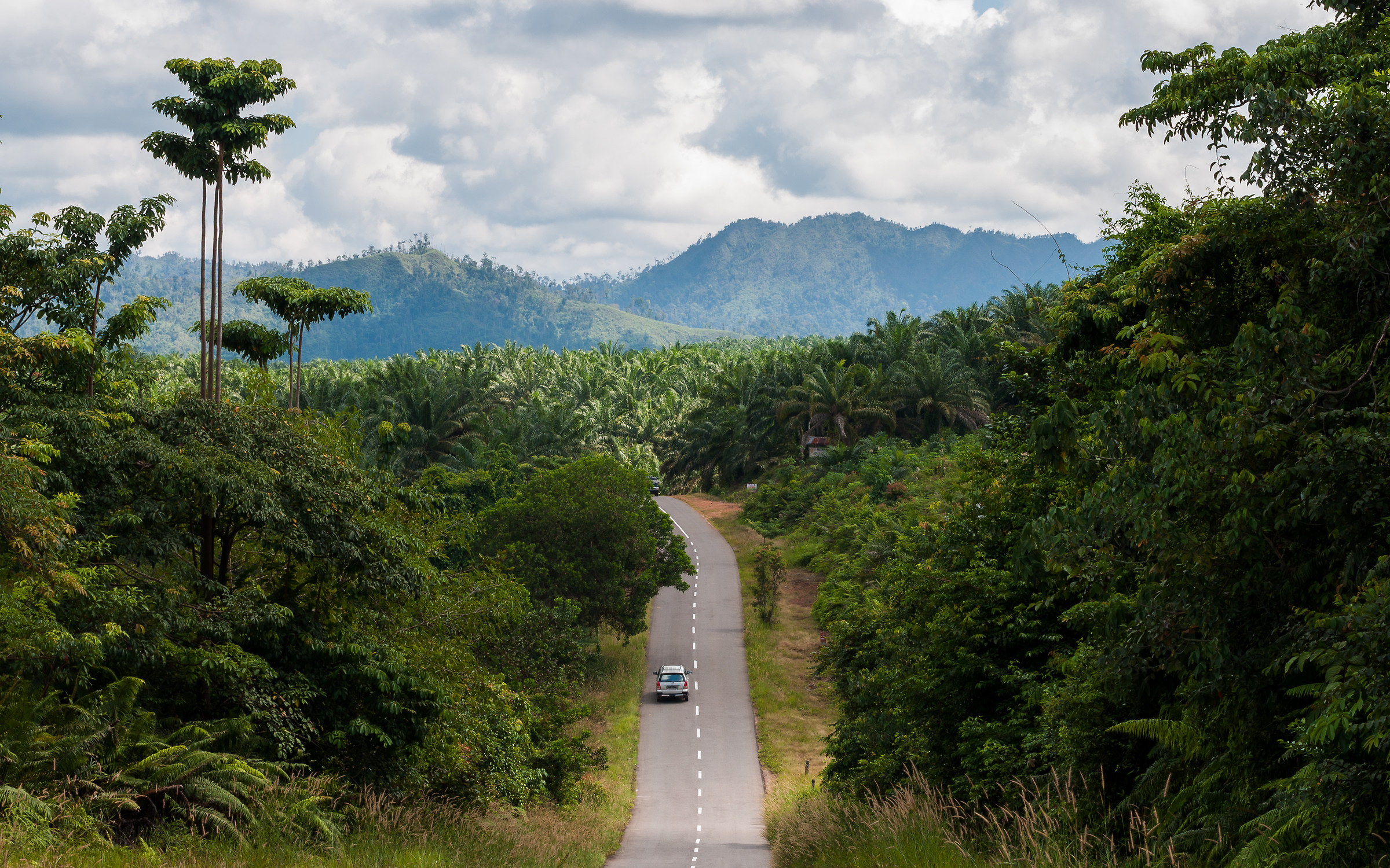 Streets of Kalimantan