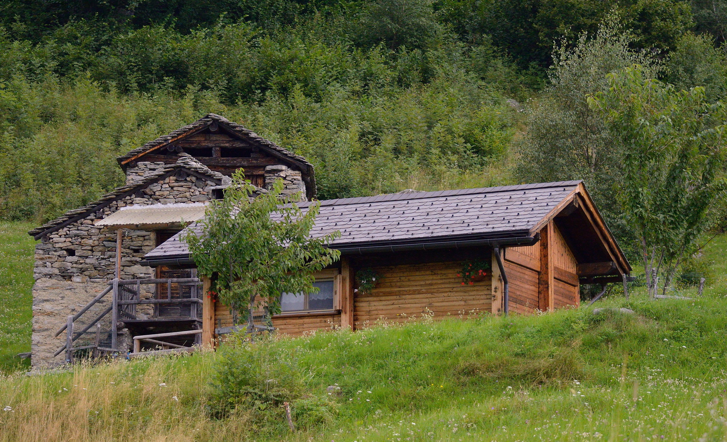chalet