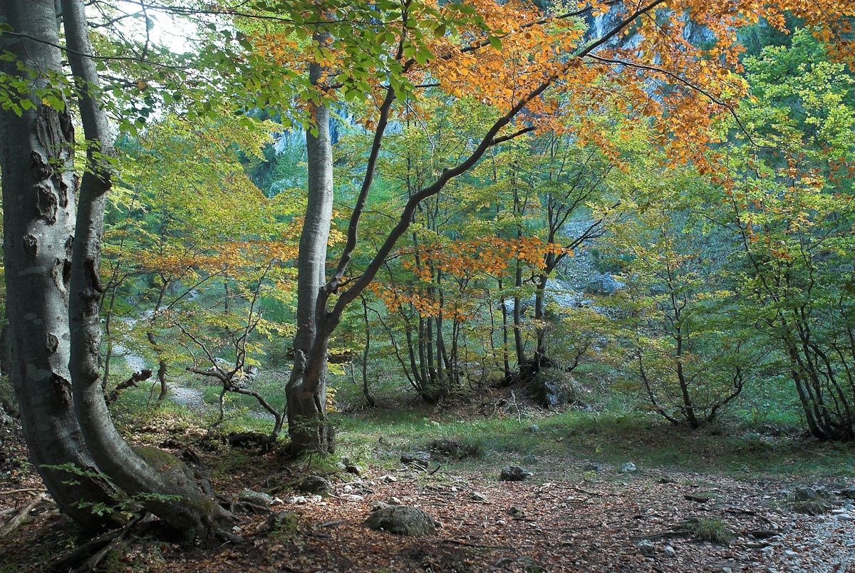 Primi colori autunnali.