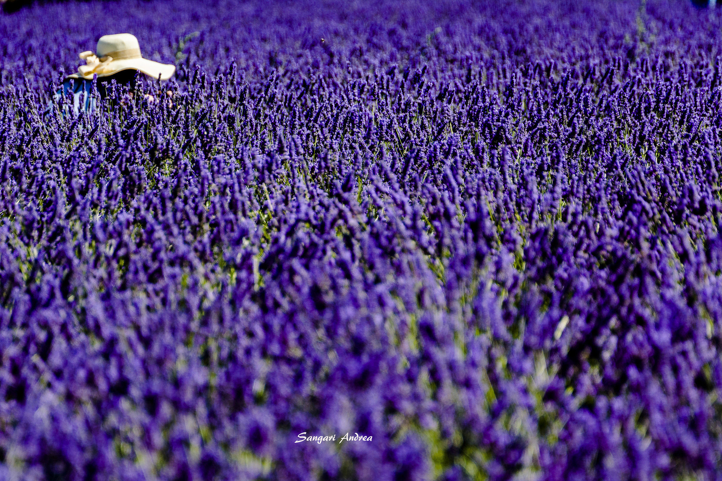 La Provenza orientale