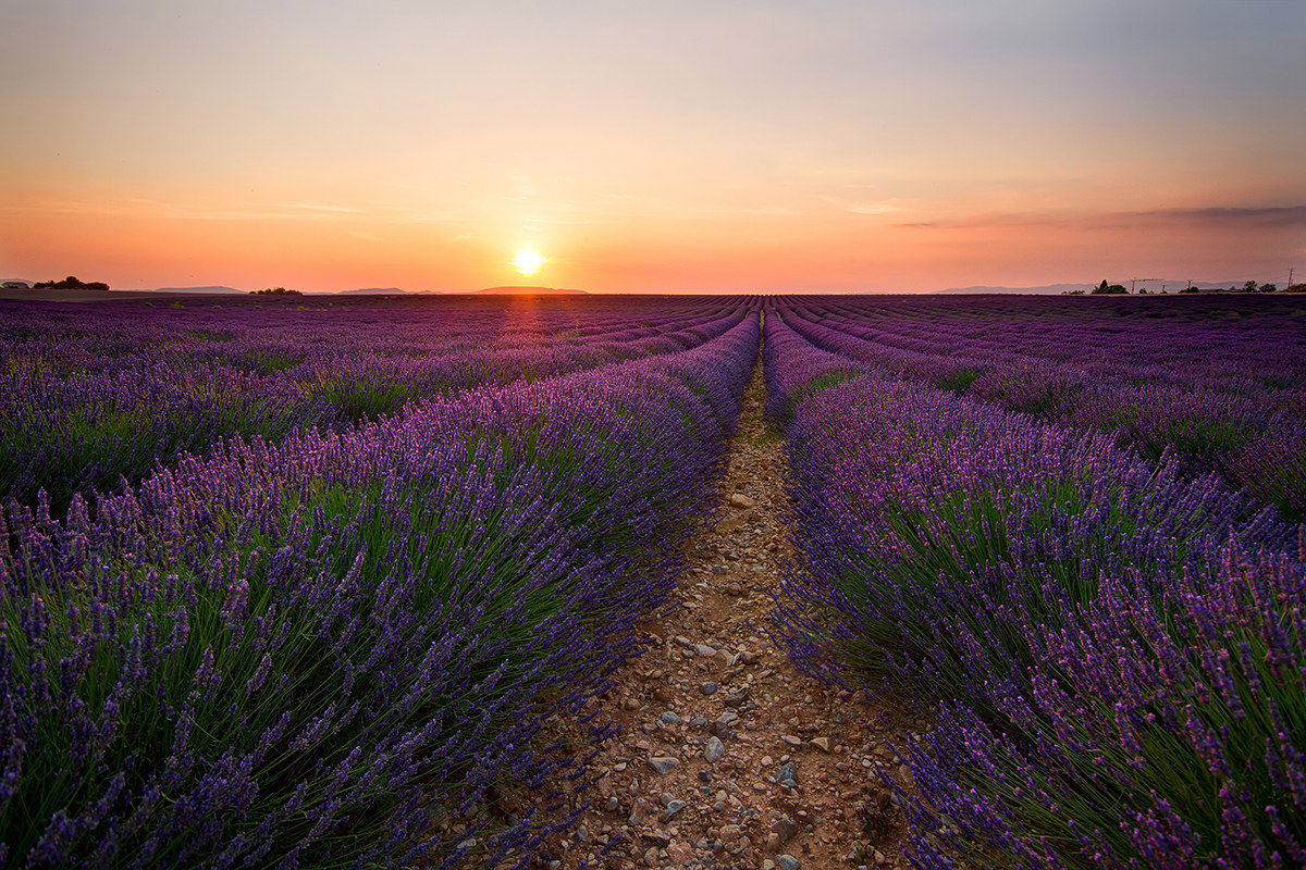 Perfumes from Provence