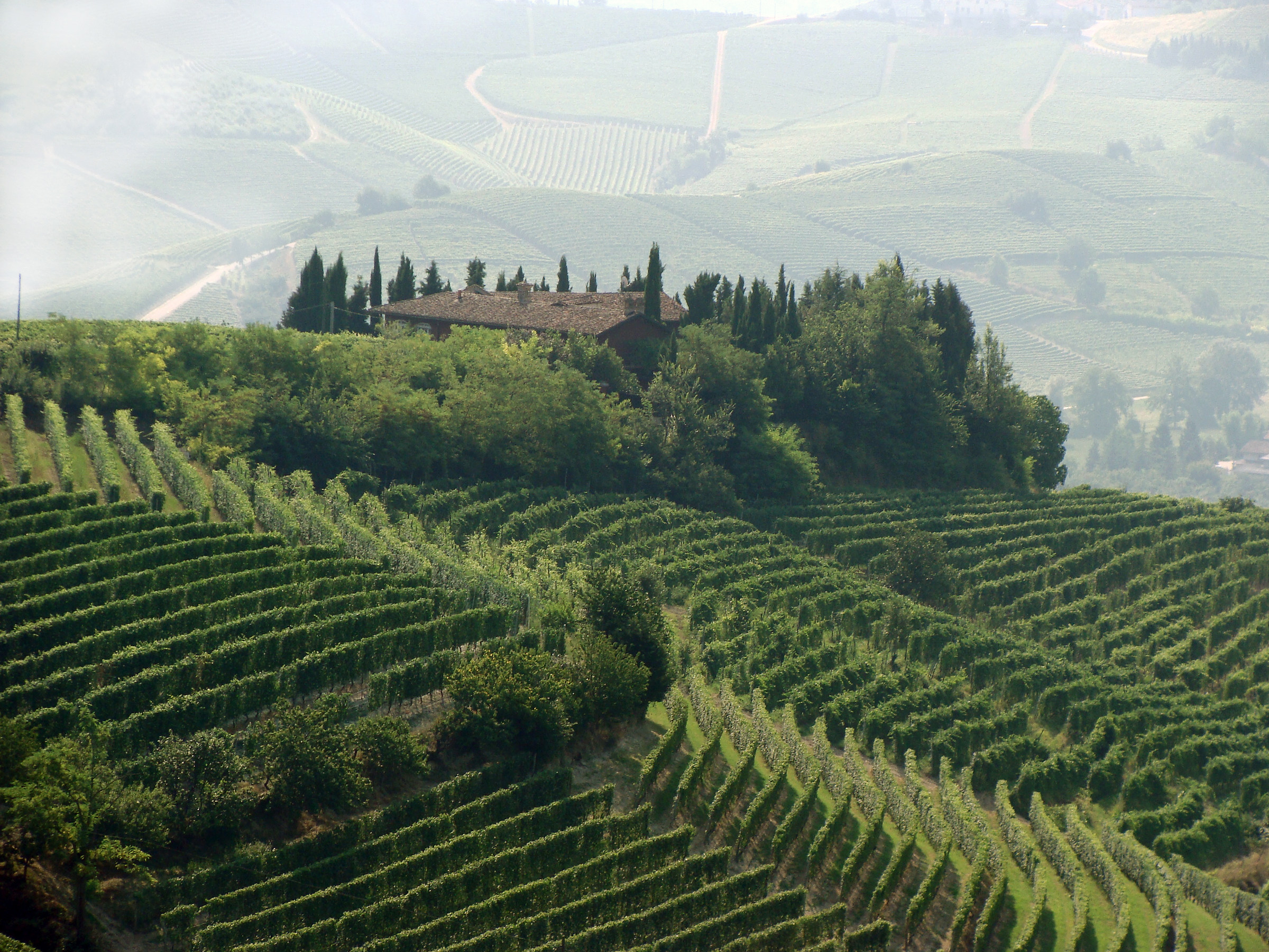 Geometry in the vineyards