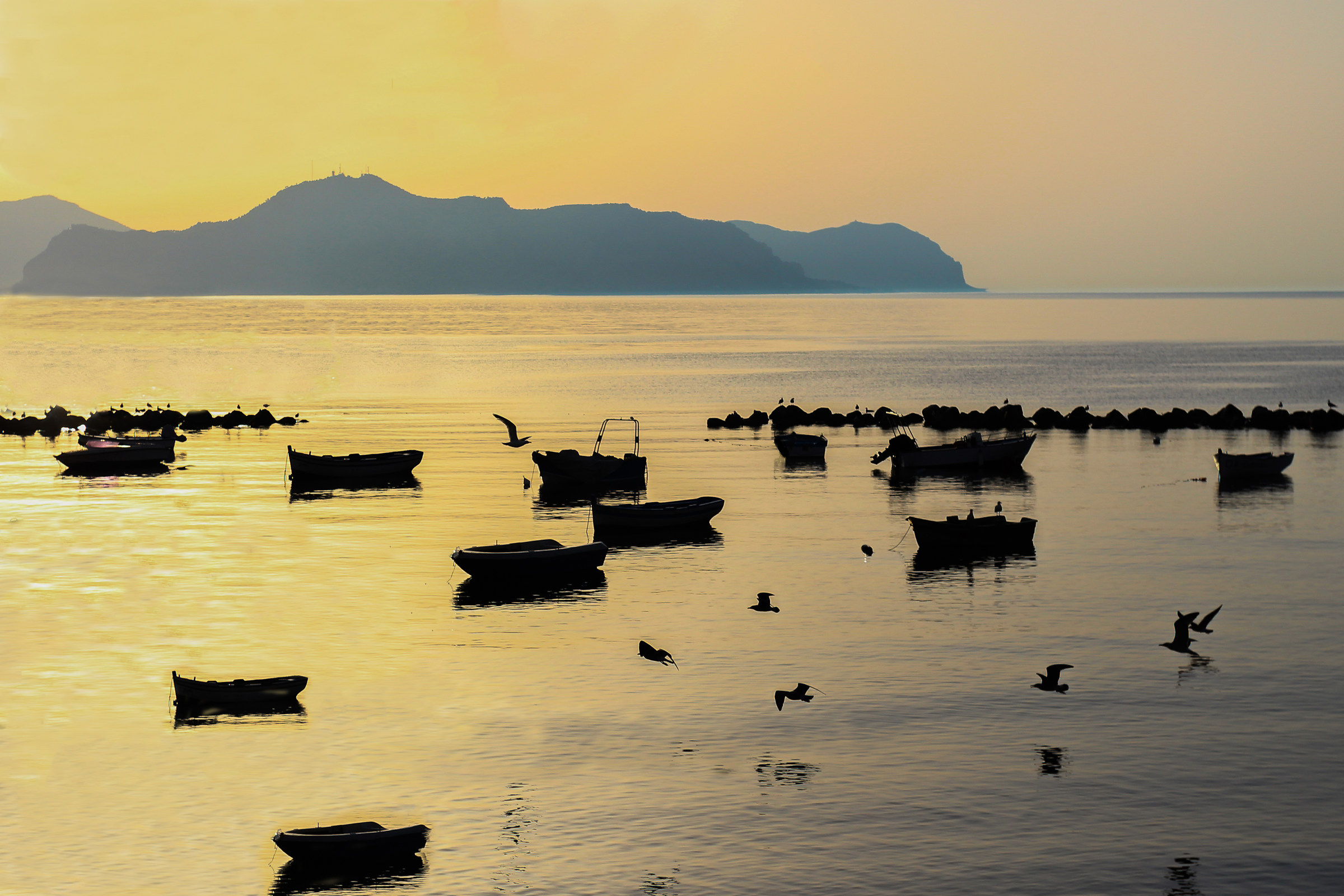 Alla ricerca della tranquillità.