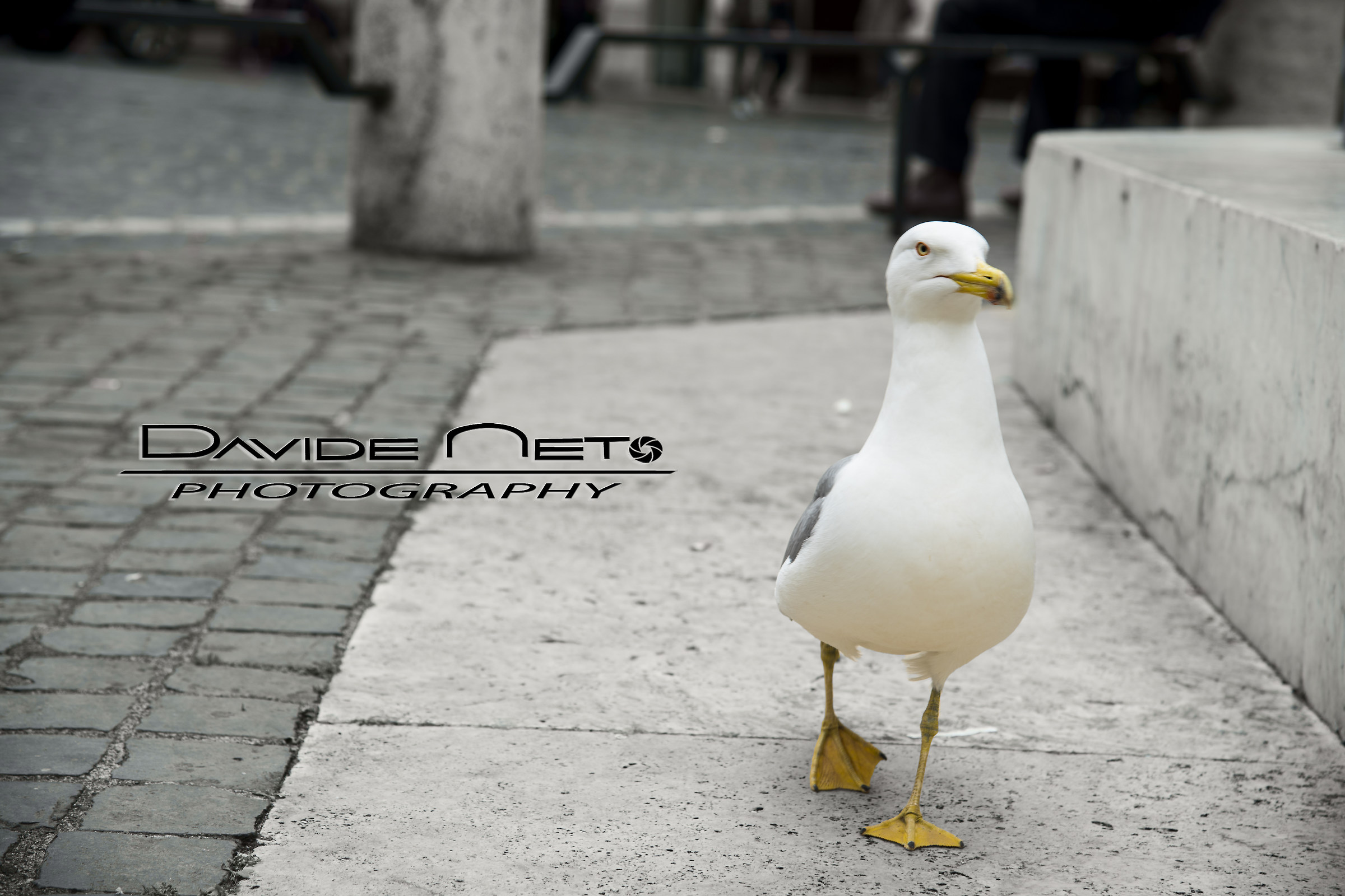 A spasso per il centro di Roma...