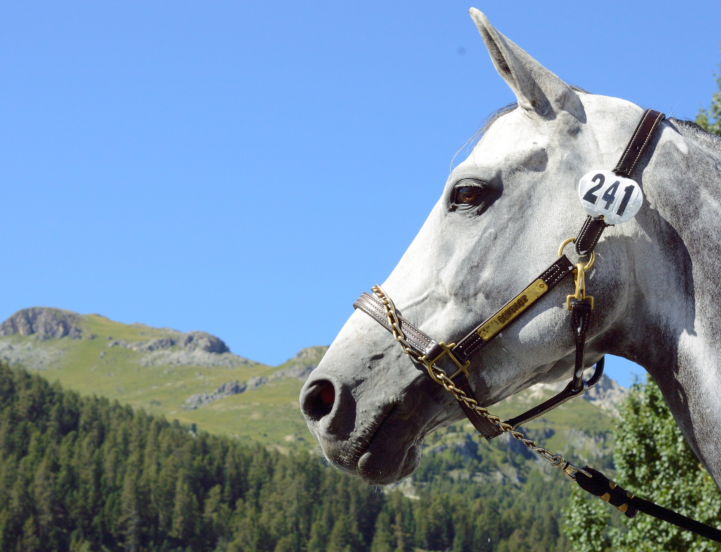 Reflection concentration