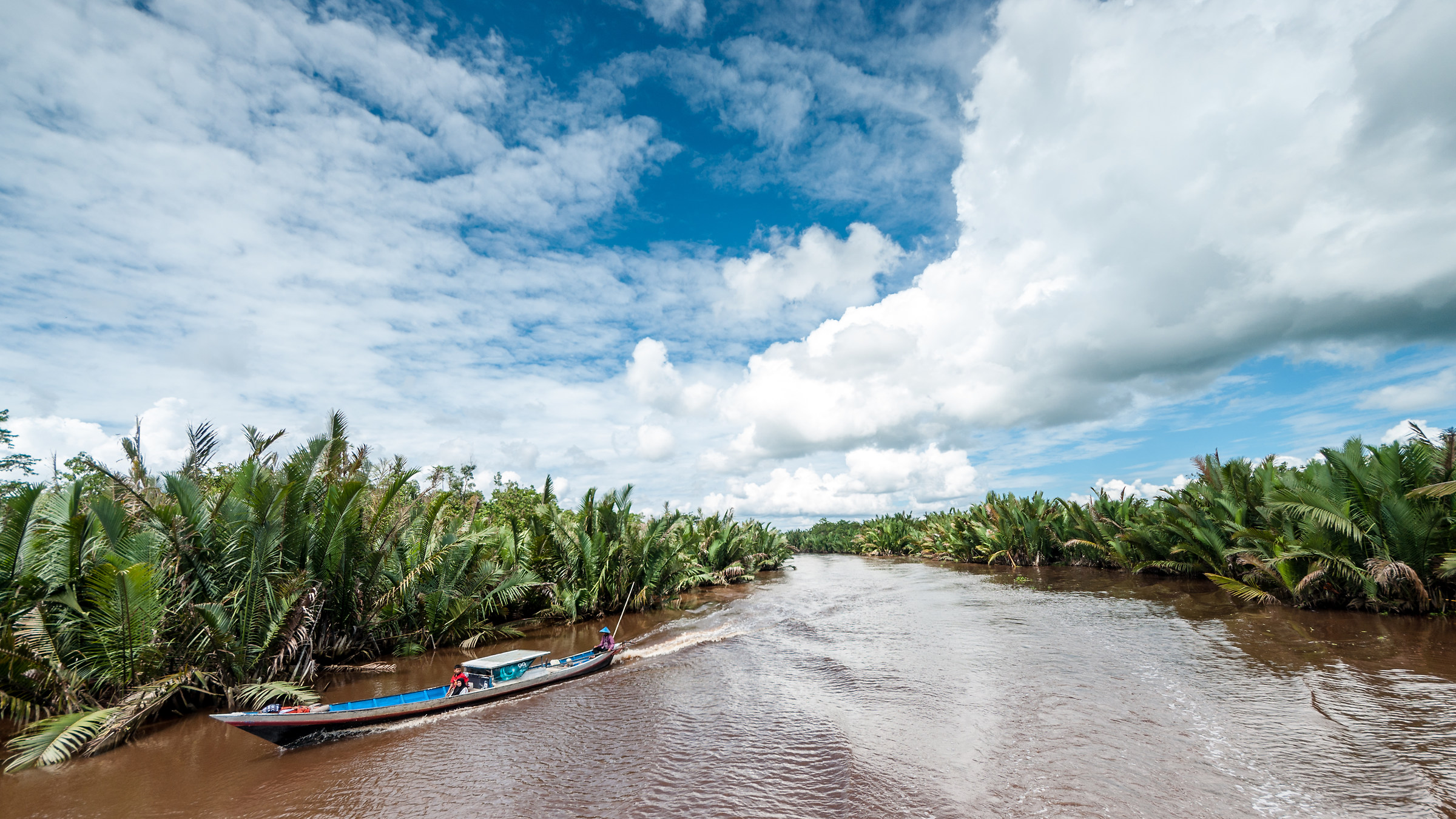The Sungai Sekonyer, Tanjung Puting NP