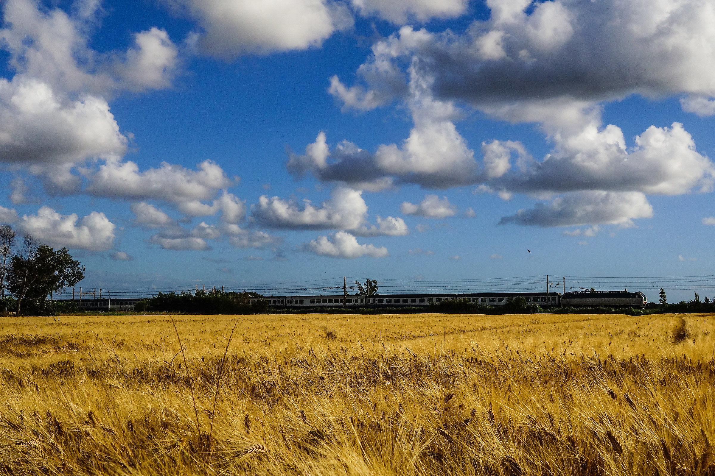 Train in the sun ...