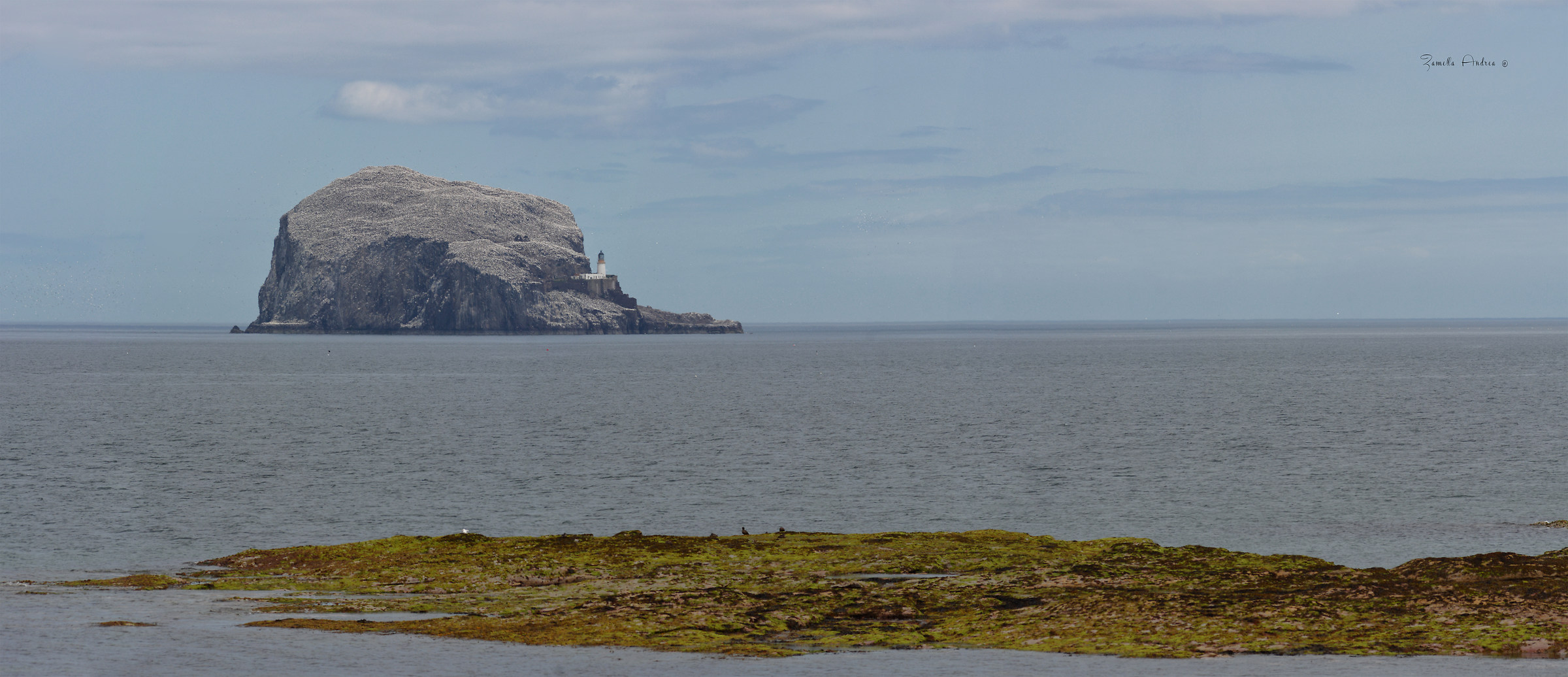 Bass Rock Island