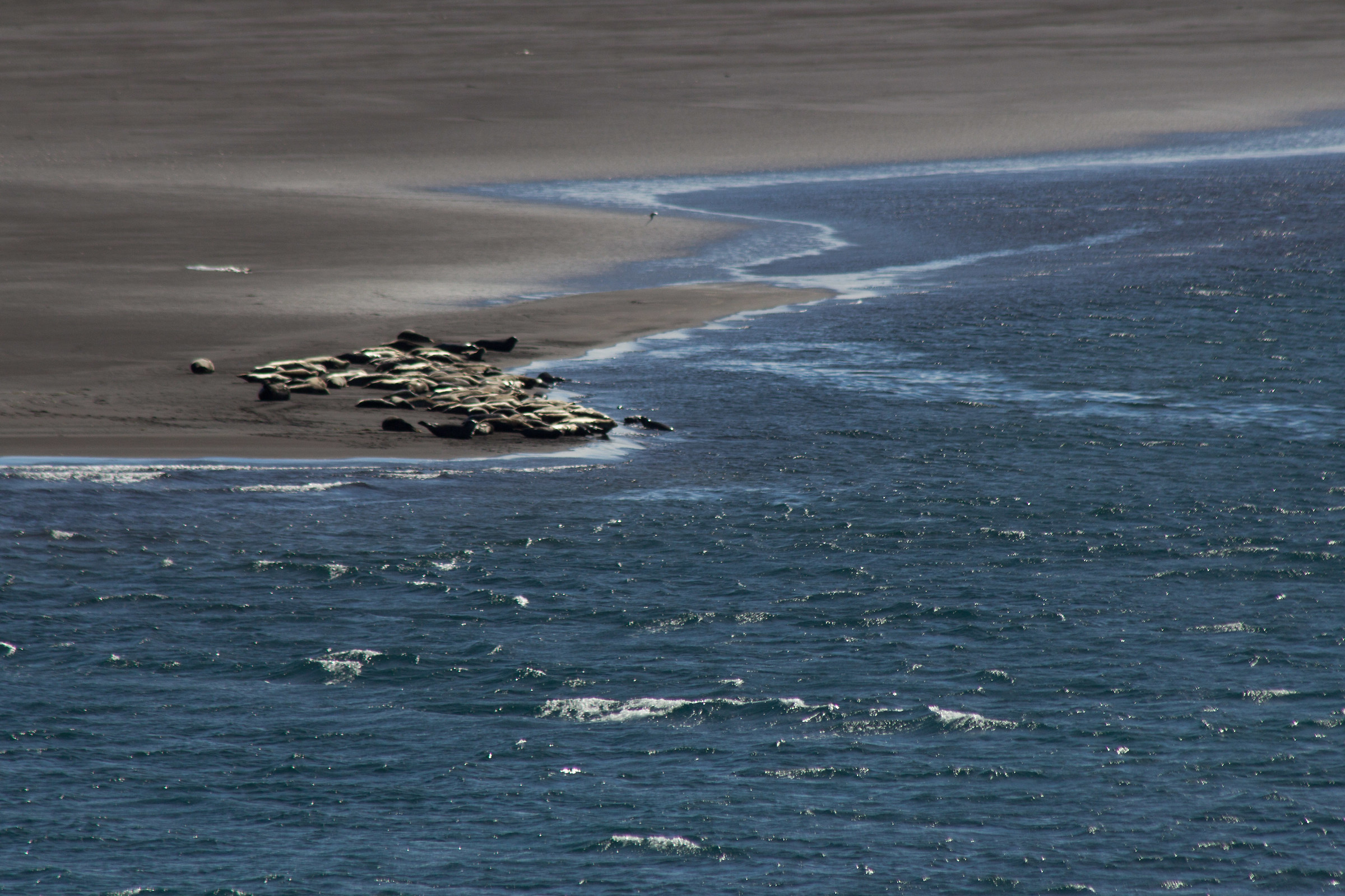 Bake in the sun of the north