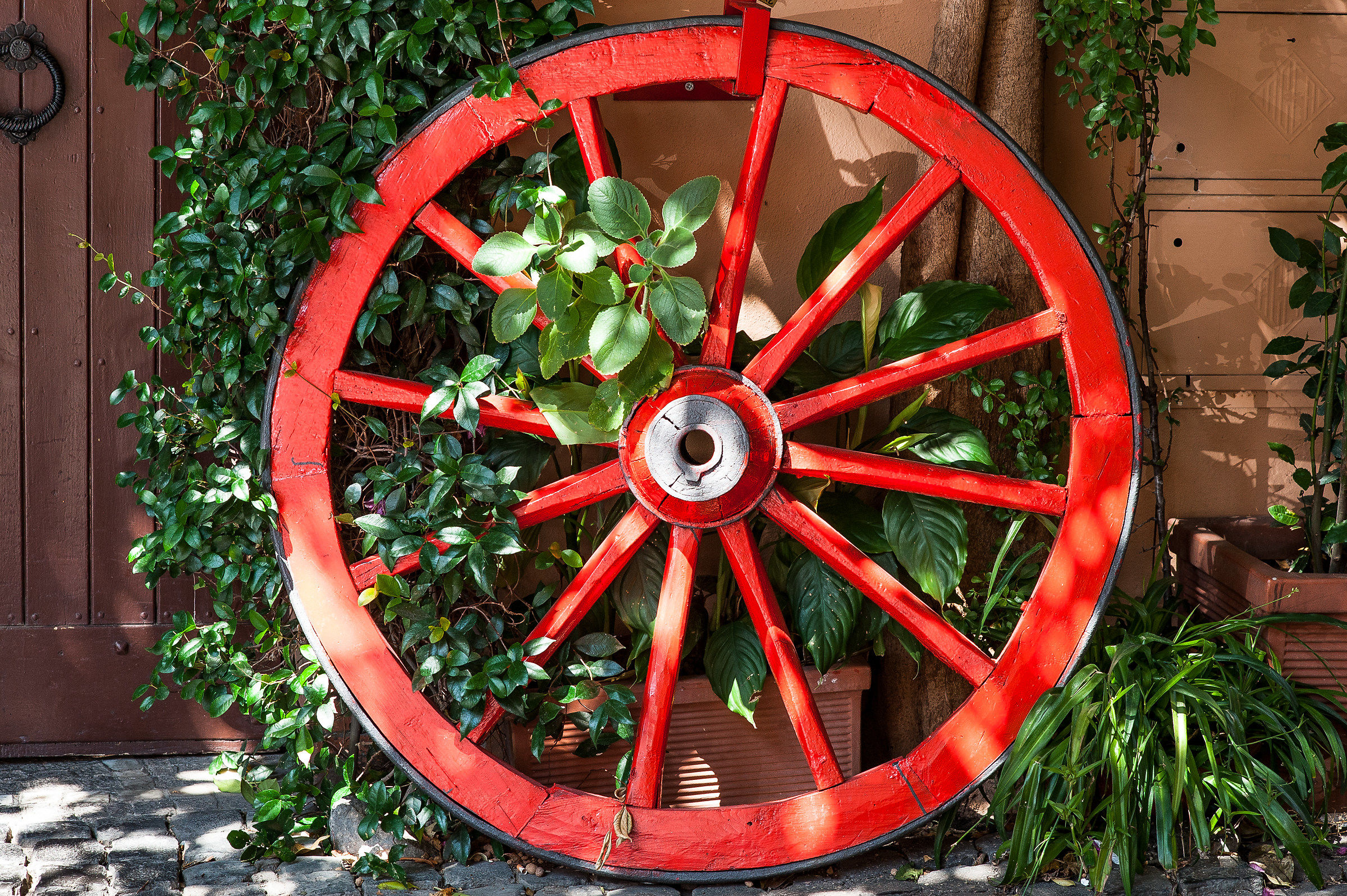 Passeggiando a Roma Trastevere