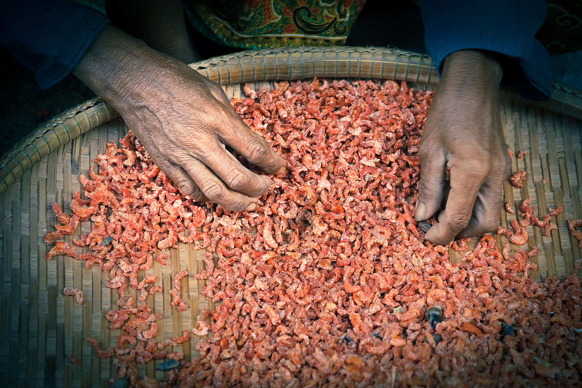 Kompong Pluk, Cambodia
