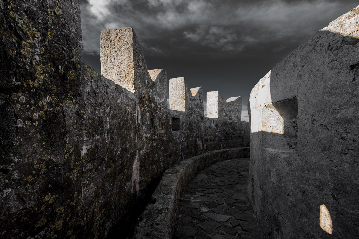 La torre ed i suoi merli ...