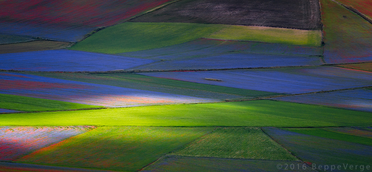 I colori di Castelluccio