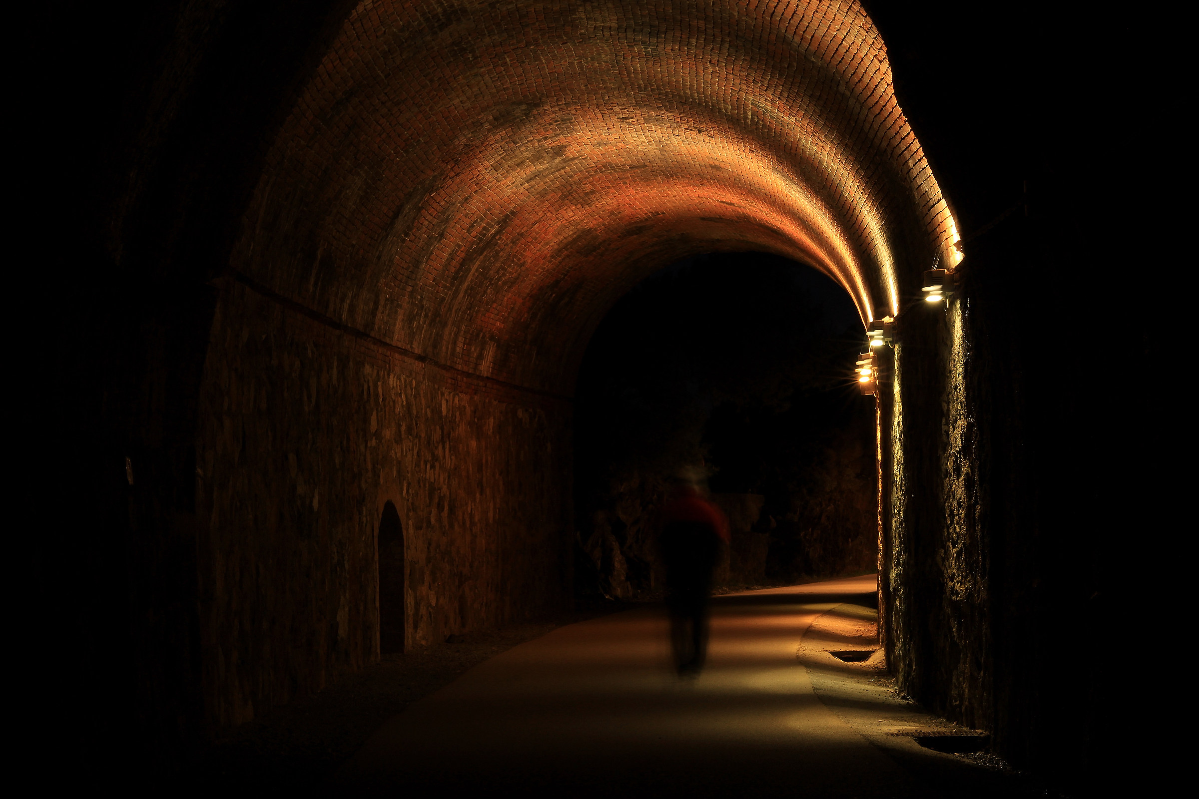 The ghosts of the night