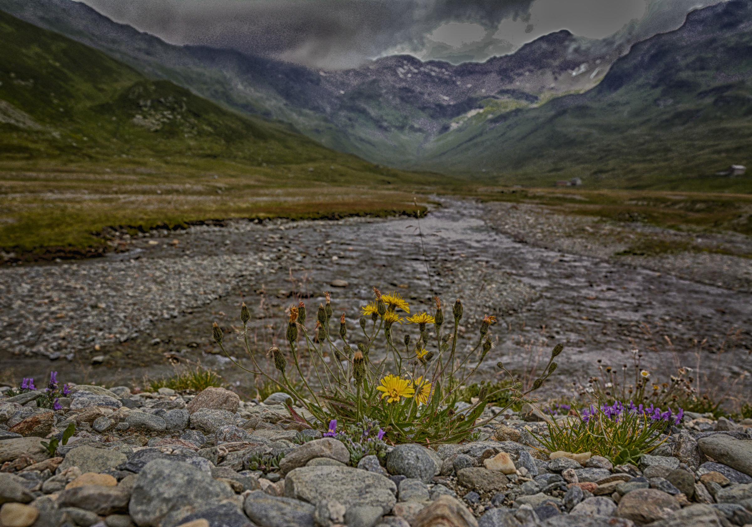 Dew in the Spluga valley