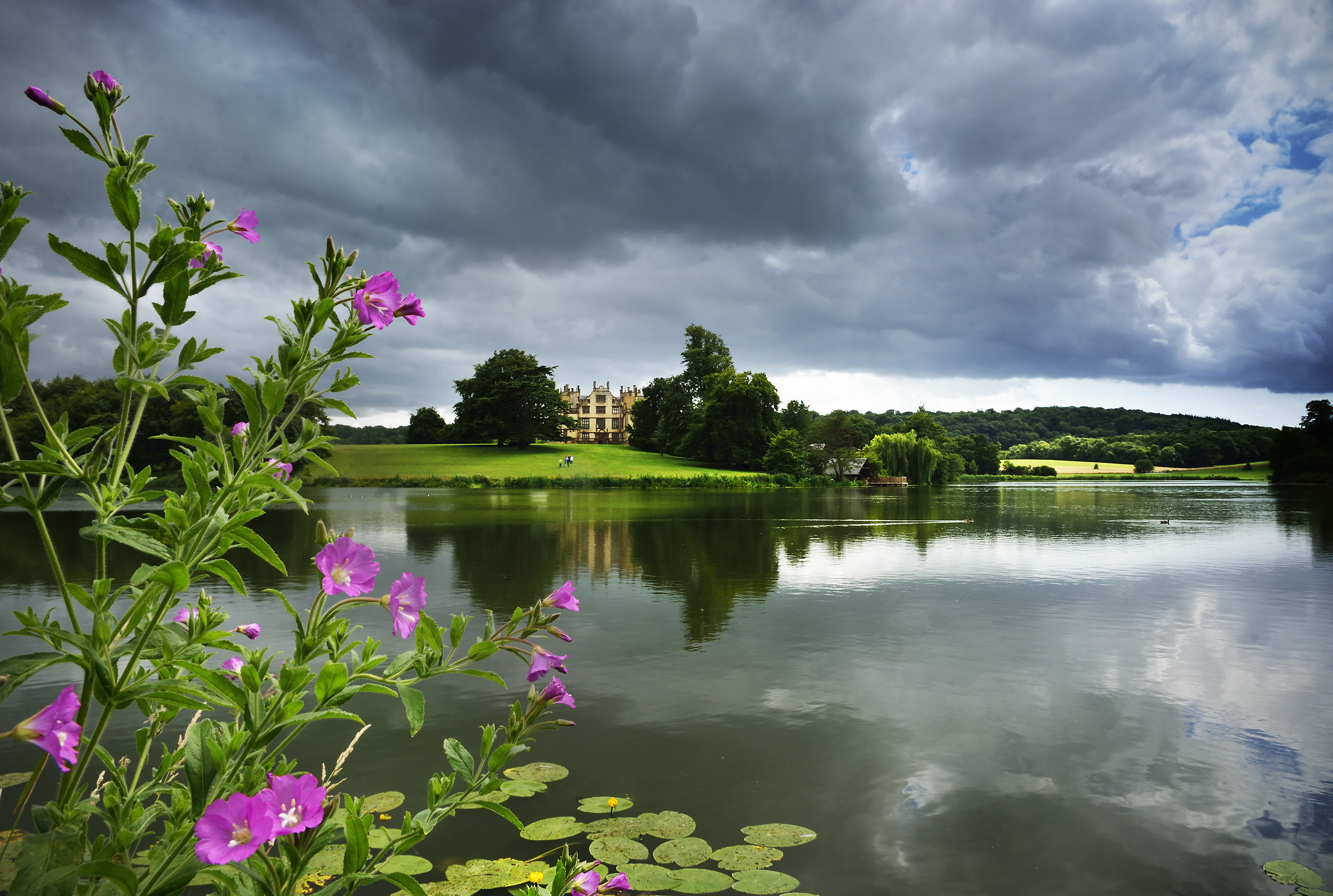 Rosa, Verde e Grigio