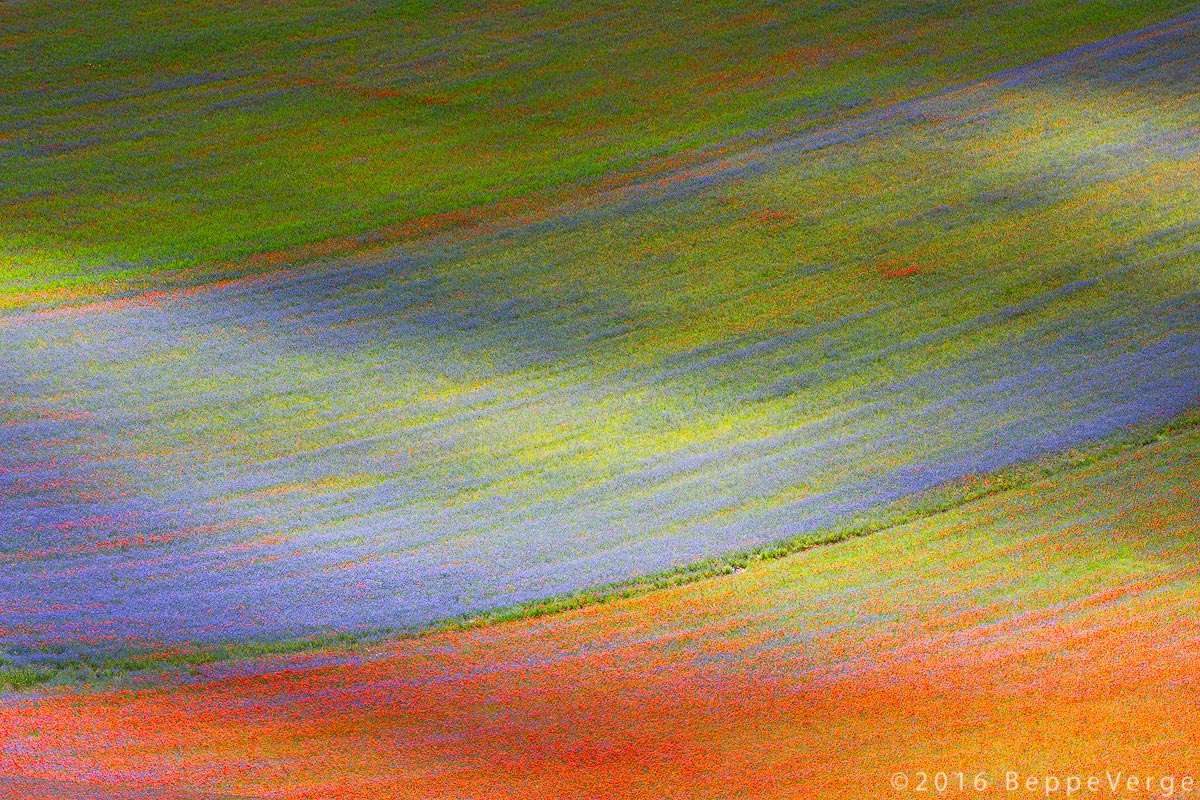 The colors of Castelluccio