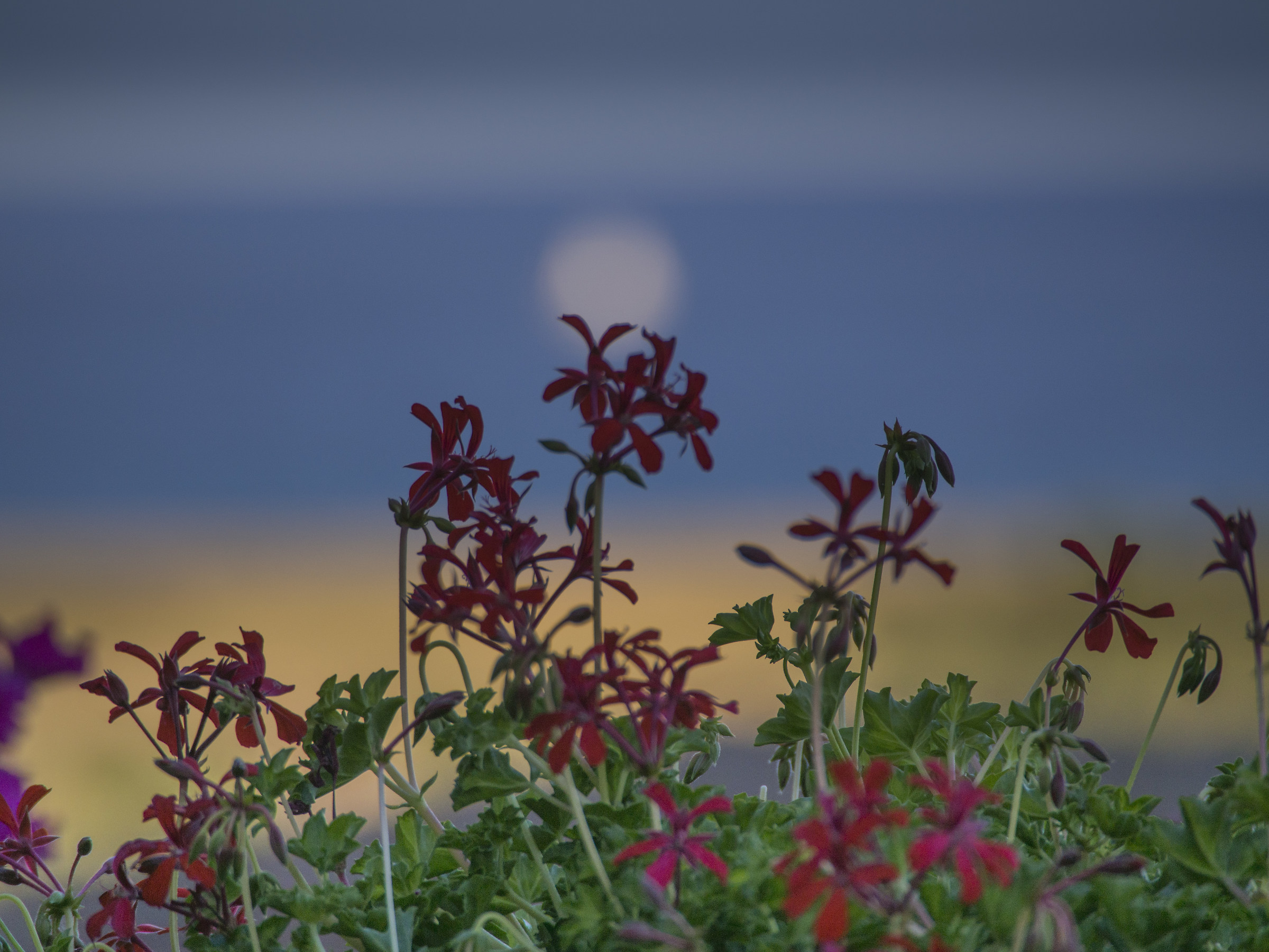 In fondo c'è il mare