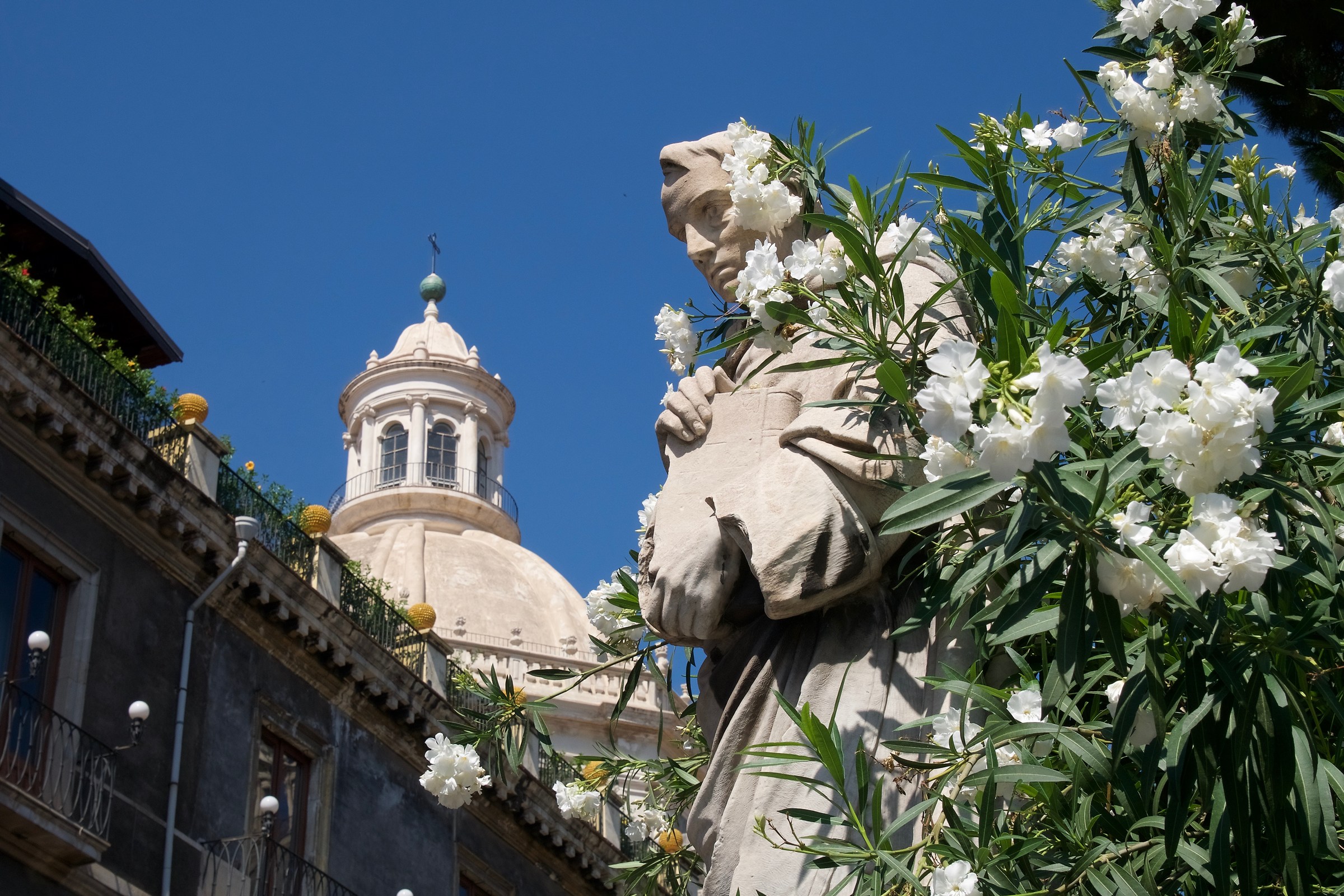 Saints among the flowers