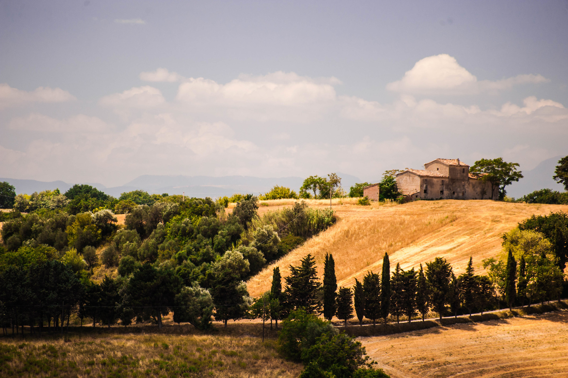Campagna marchigiana