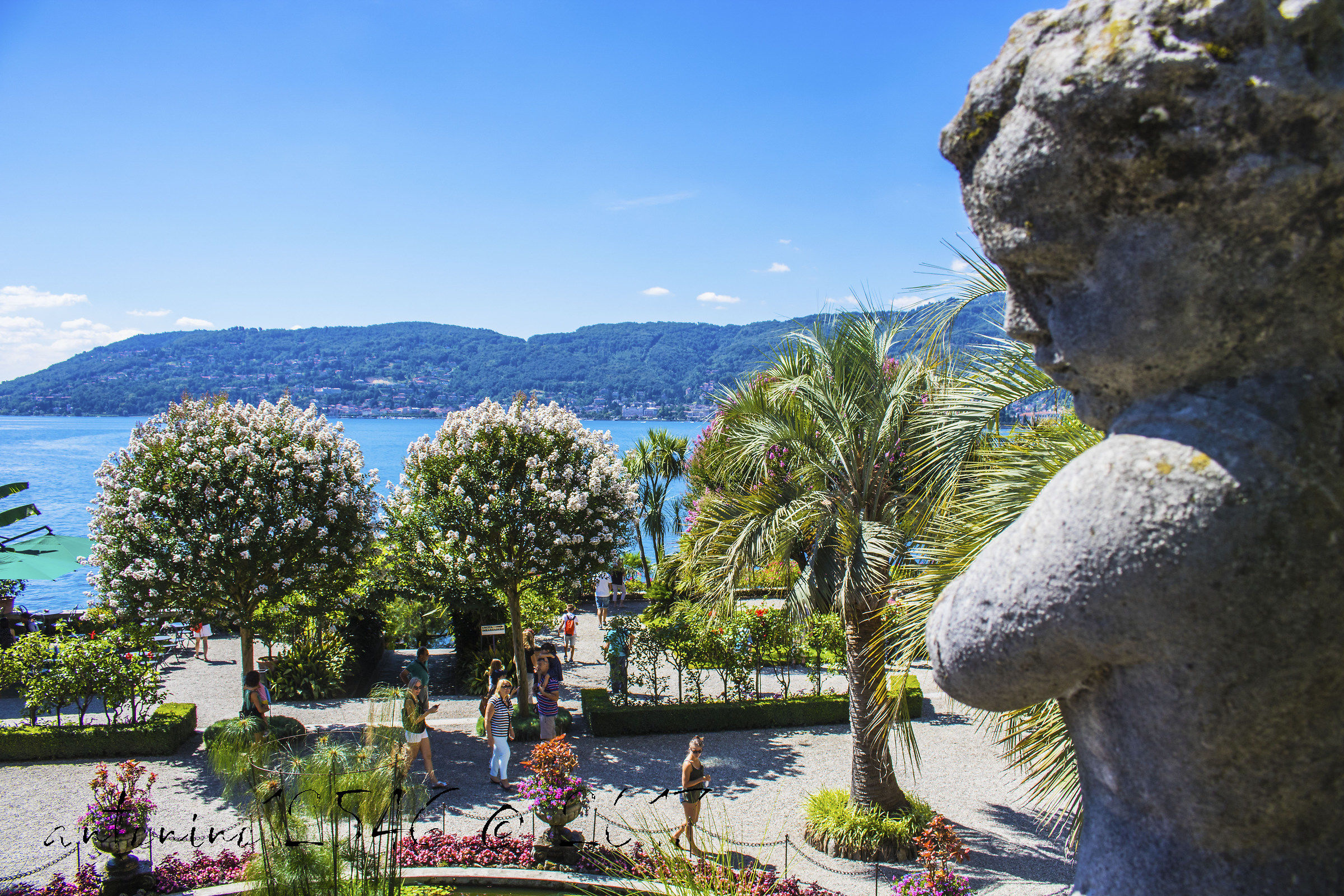 Uno sguardo sul lago