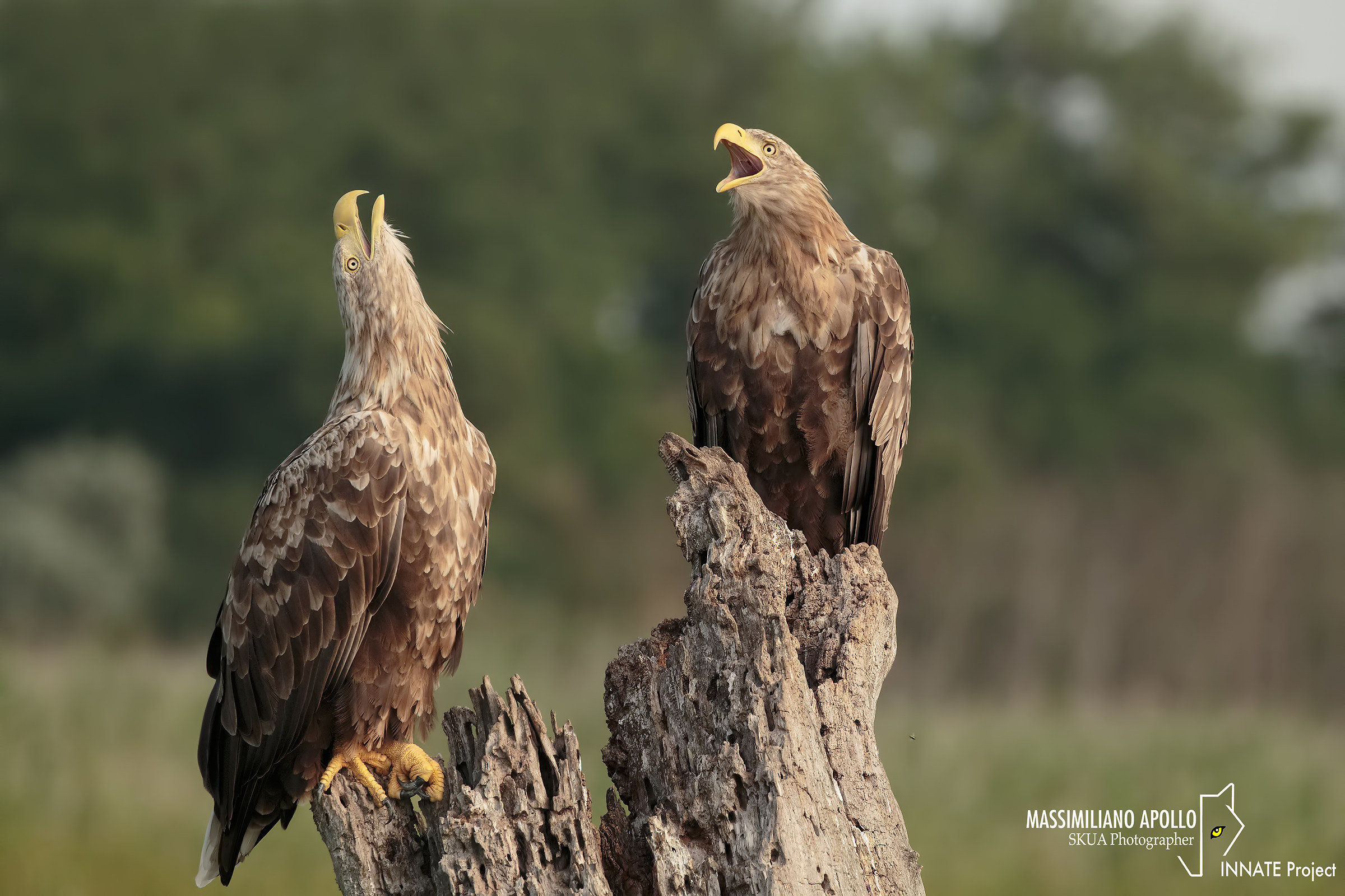 Exchange of views ...