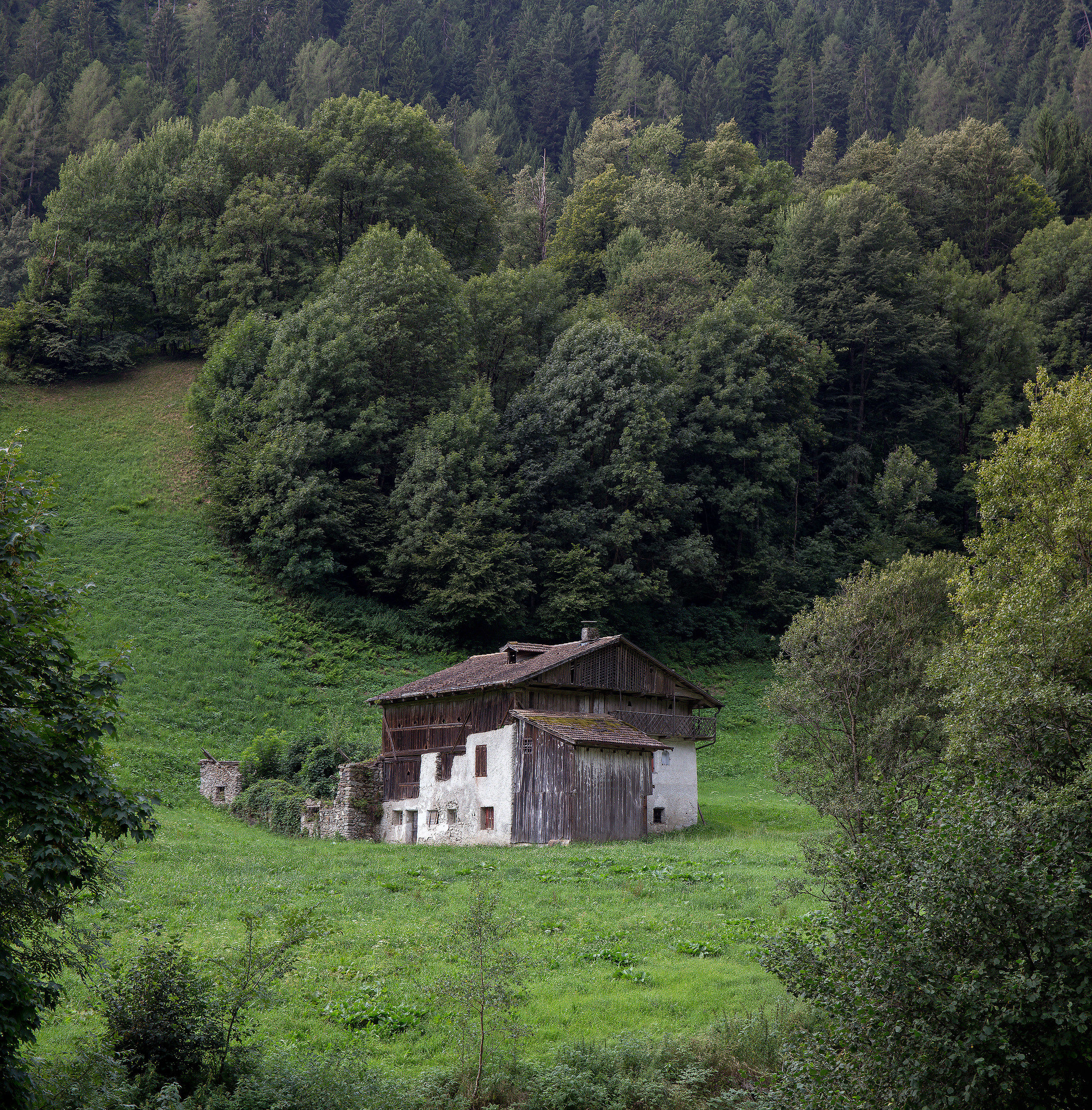 Trentino trip with detail