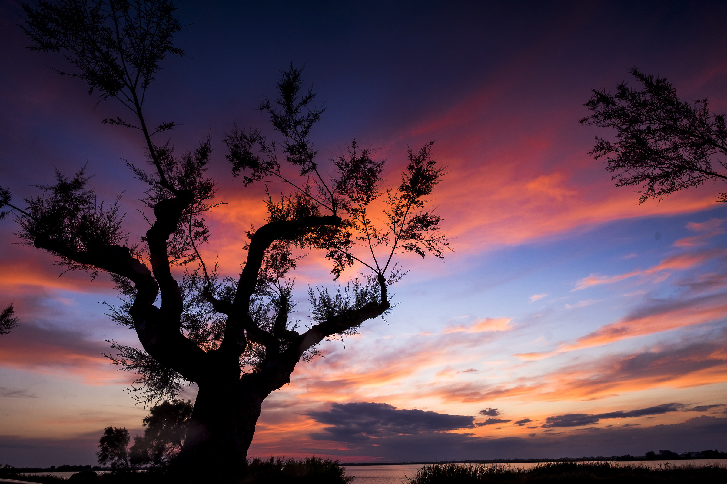 Saintes maries DE LA MER