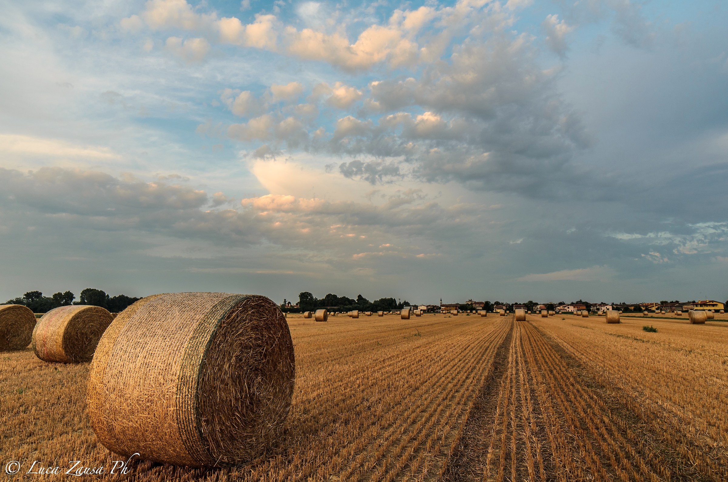 Che ne sai tu di un campo di grano
